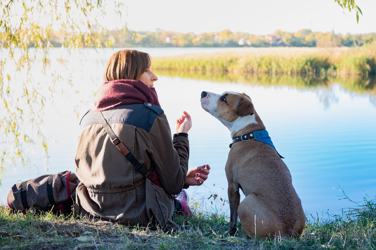 Come capire se il cane ha scelto proprio te: i segnali che (quasi) nessuno nota