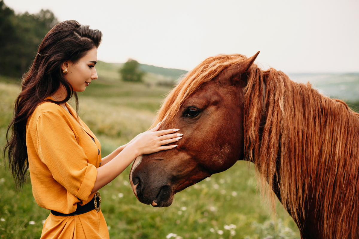 Come stringere amicizia con il cavallo: la guida completa per costruire un legame di fiducia