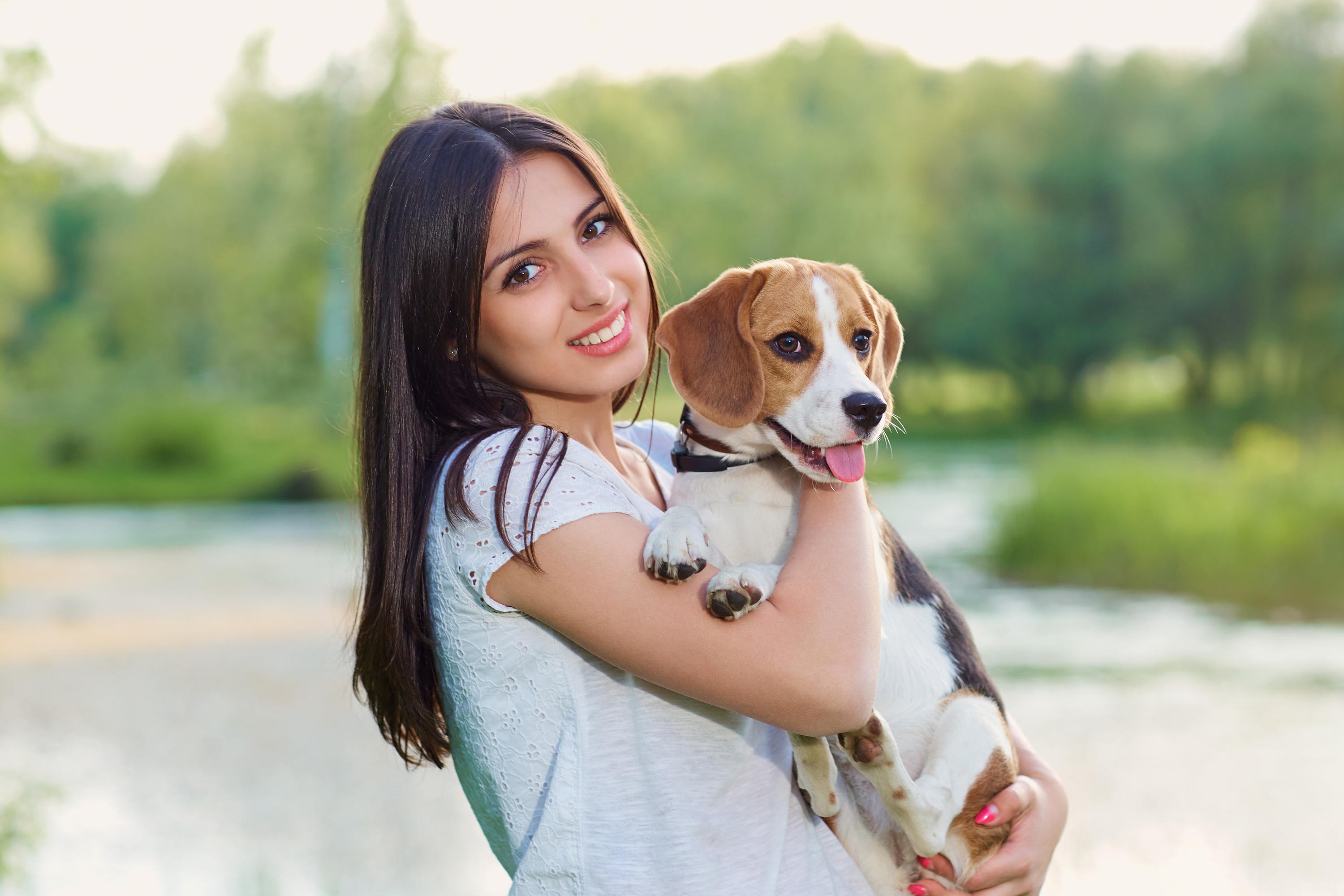 Cosa pensa il cane quando lo accarezzi? La scienza dietro un gesto d'amore