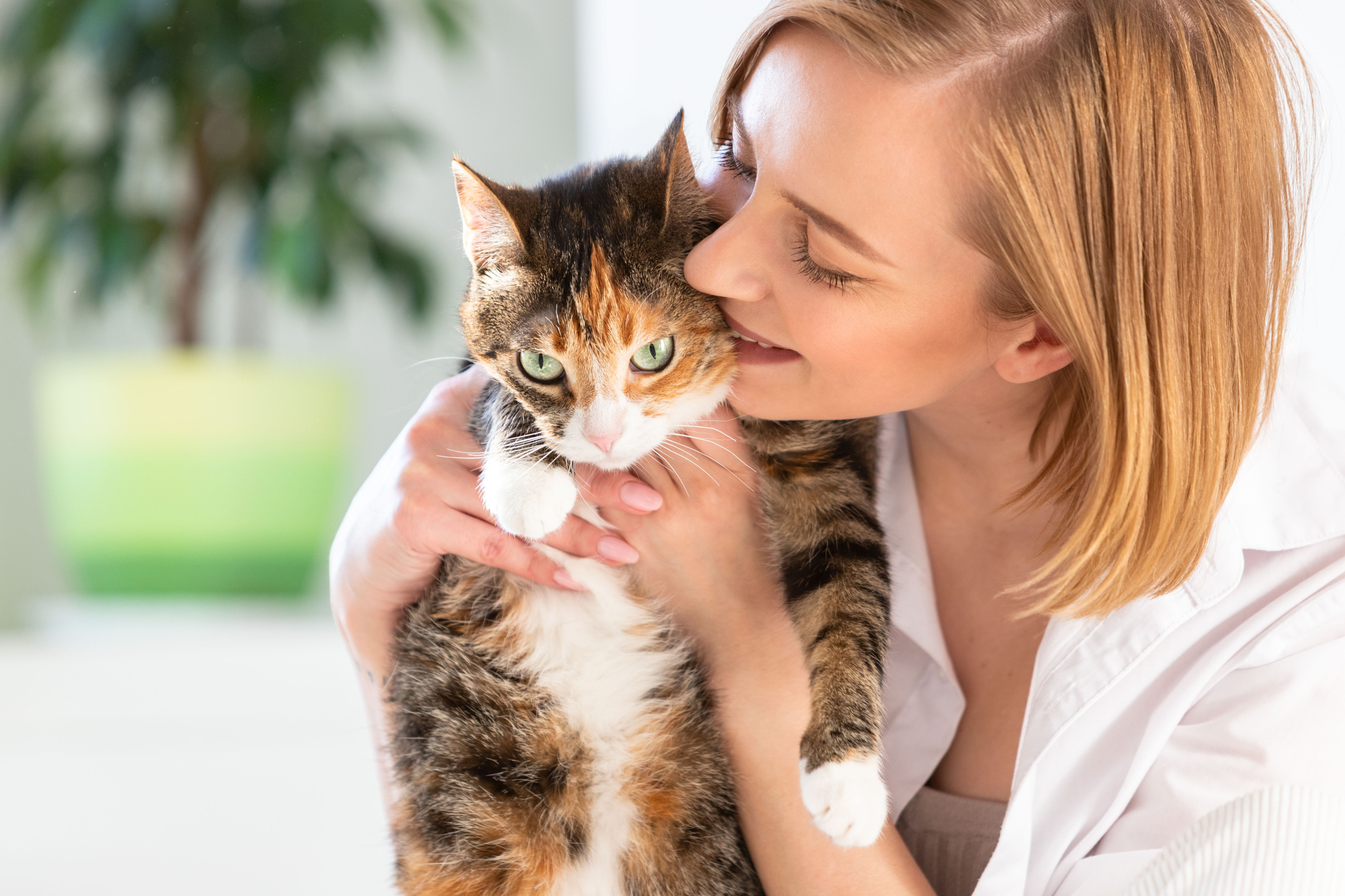 I gatti sanno cosa sono i baci? La scienza dietro l'amore felino