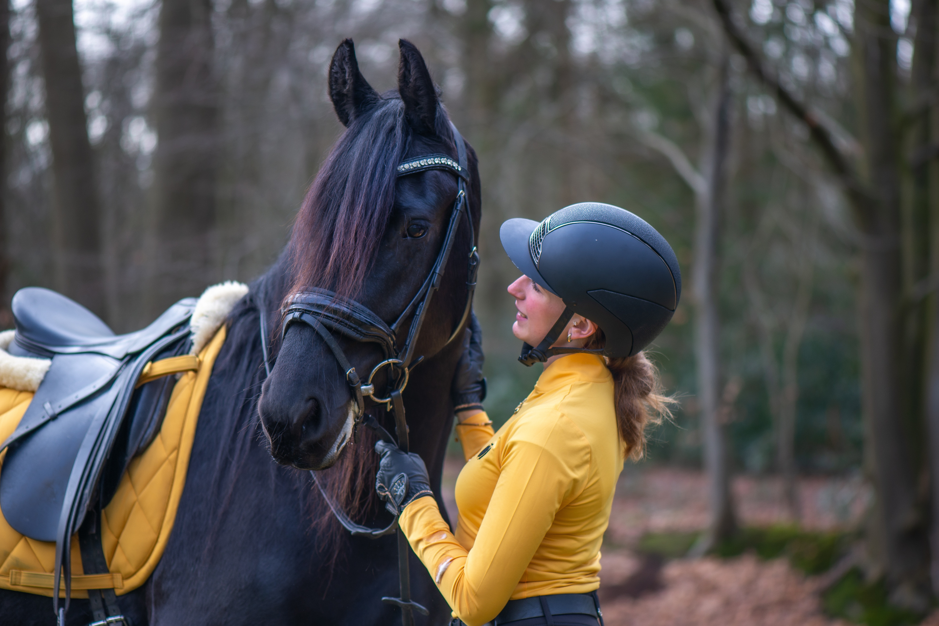 Il benessere del cavallo: guida completa per un animale sano e felice
