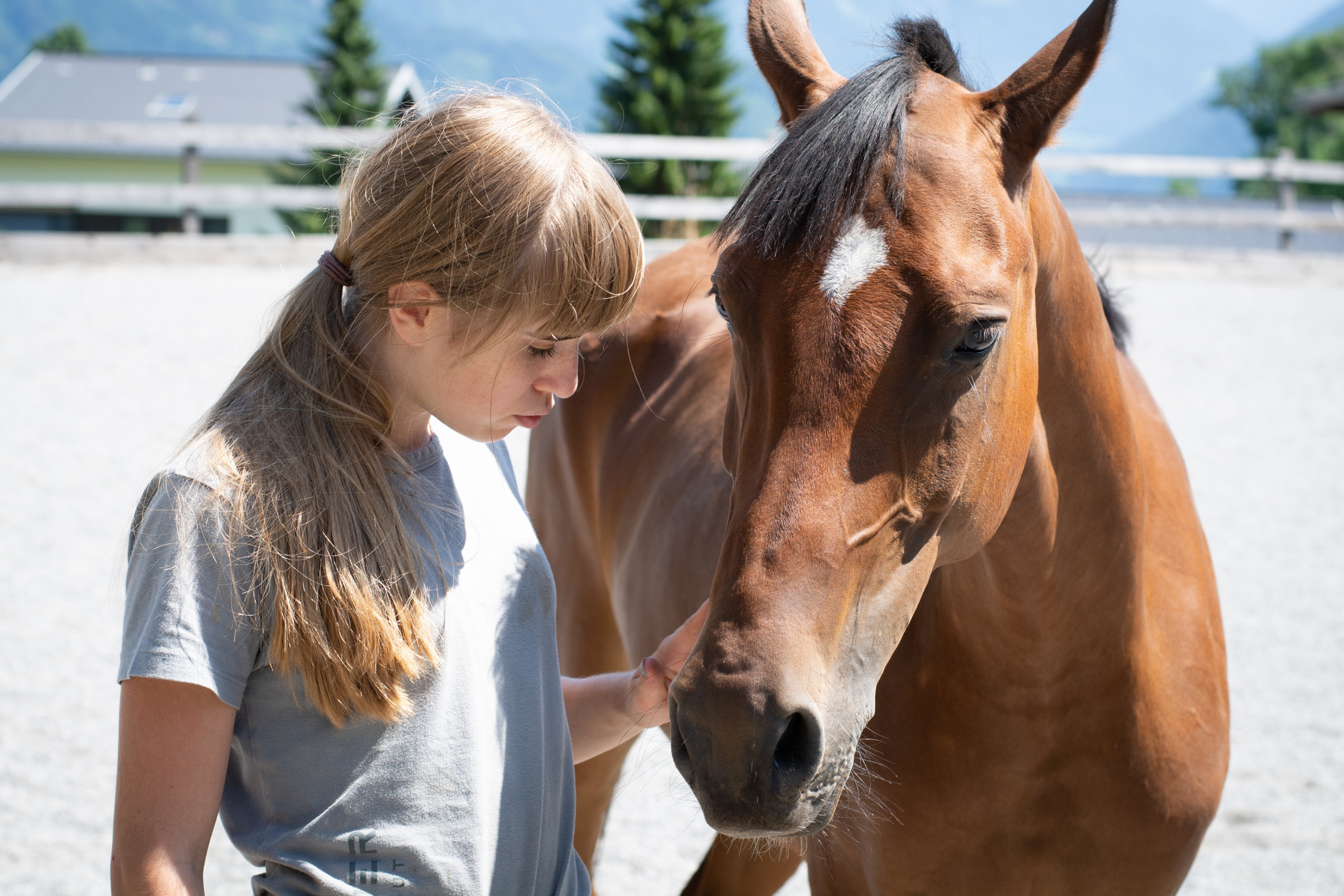 Il comportamento del cavallo durante il cambio di stagione