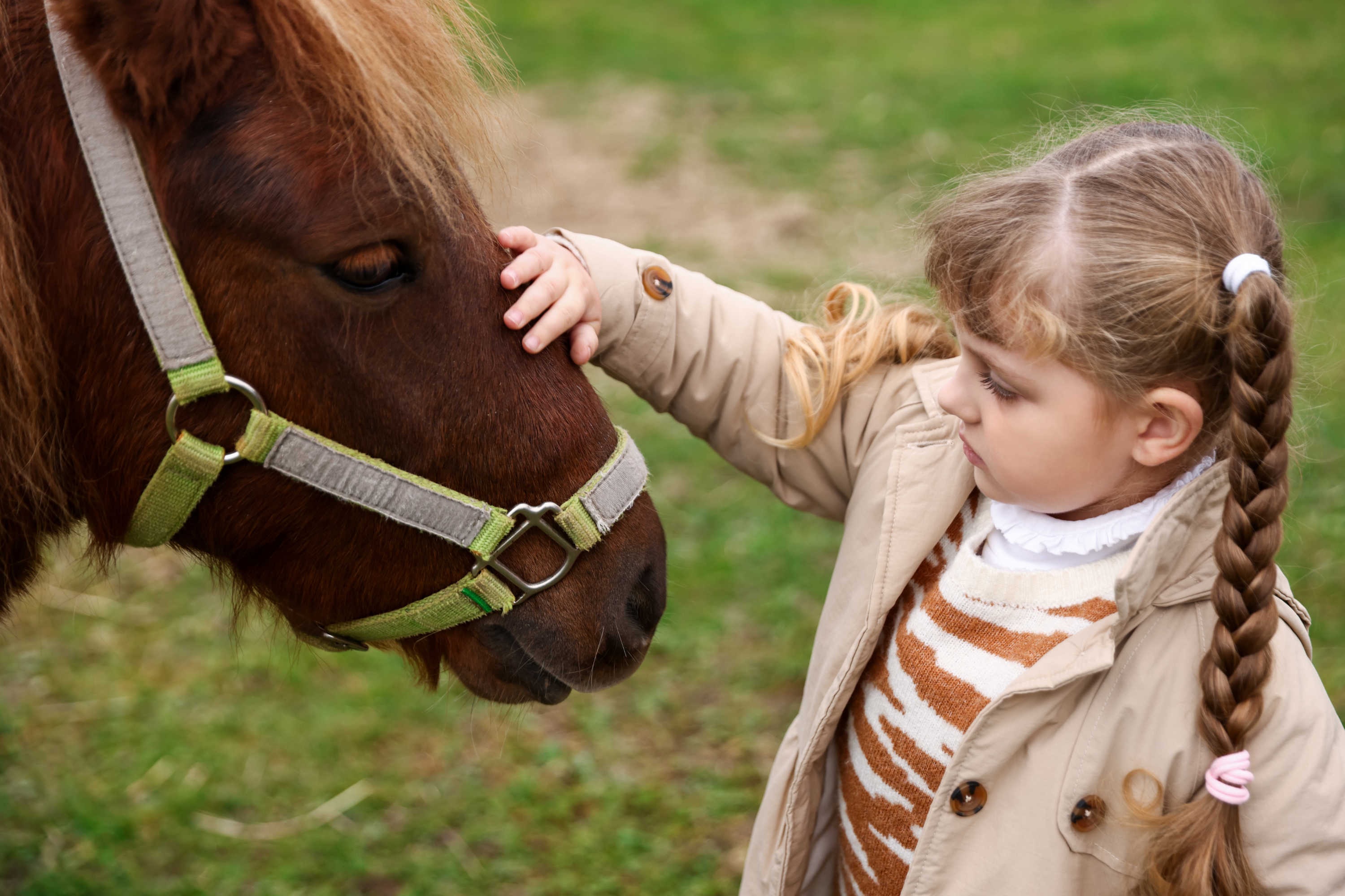 Ippoterapia: quando il cavallo diventa terapeuta