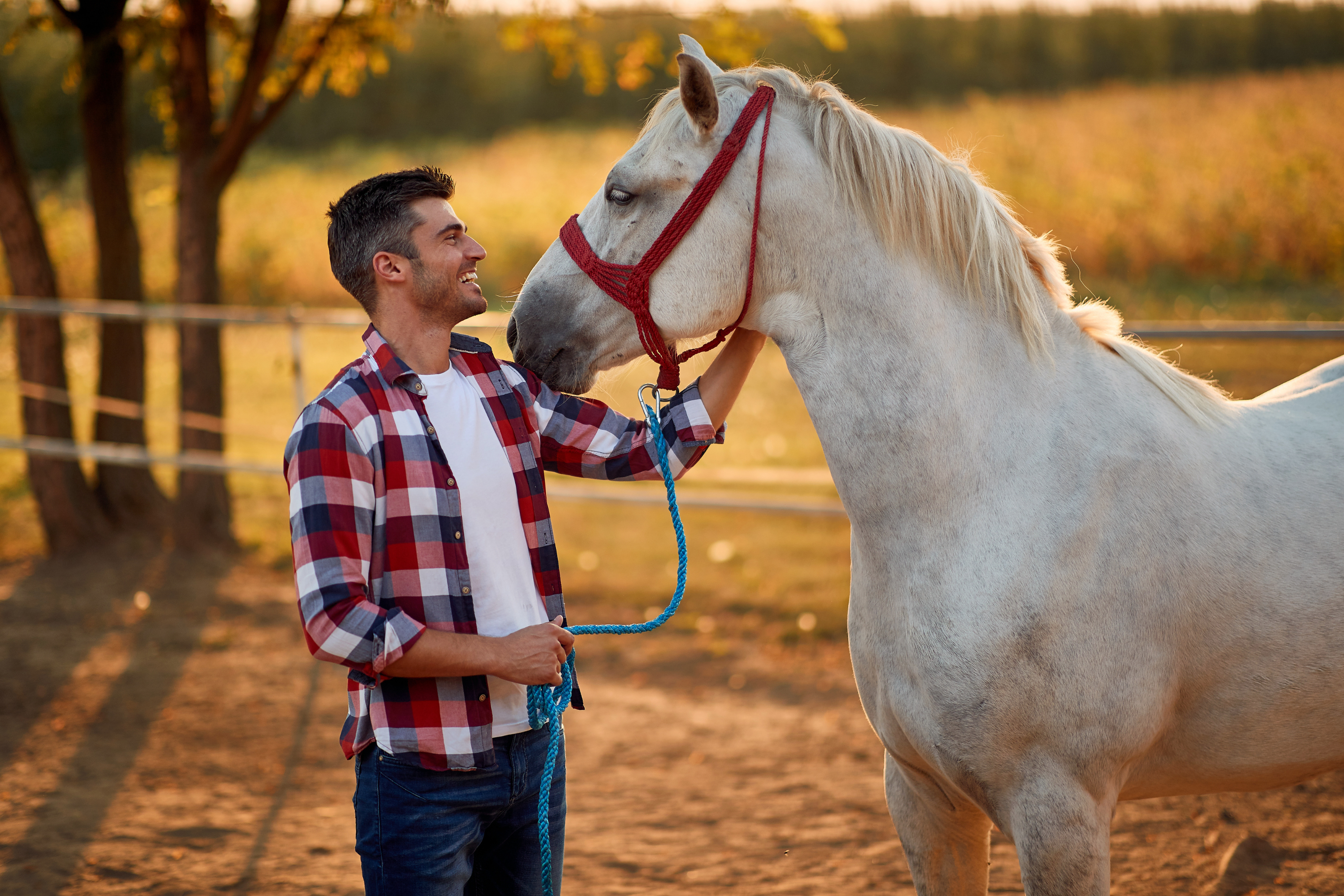 Le ossa del cavallo: anatomia, salute e cura dello scheletro equino