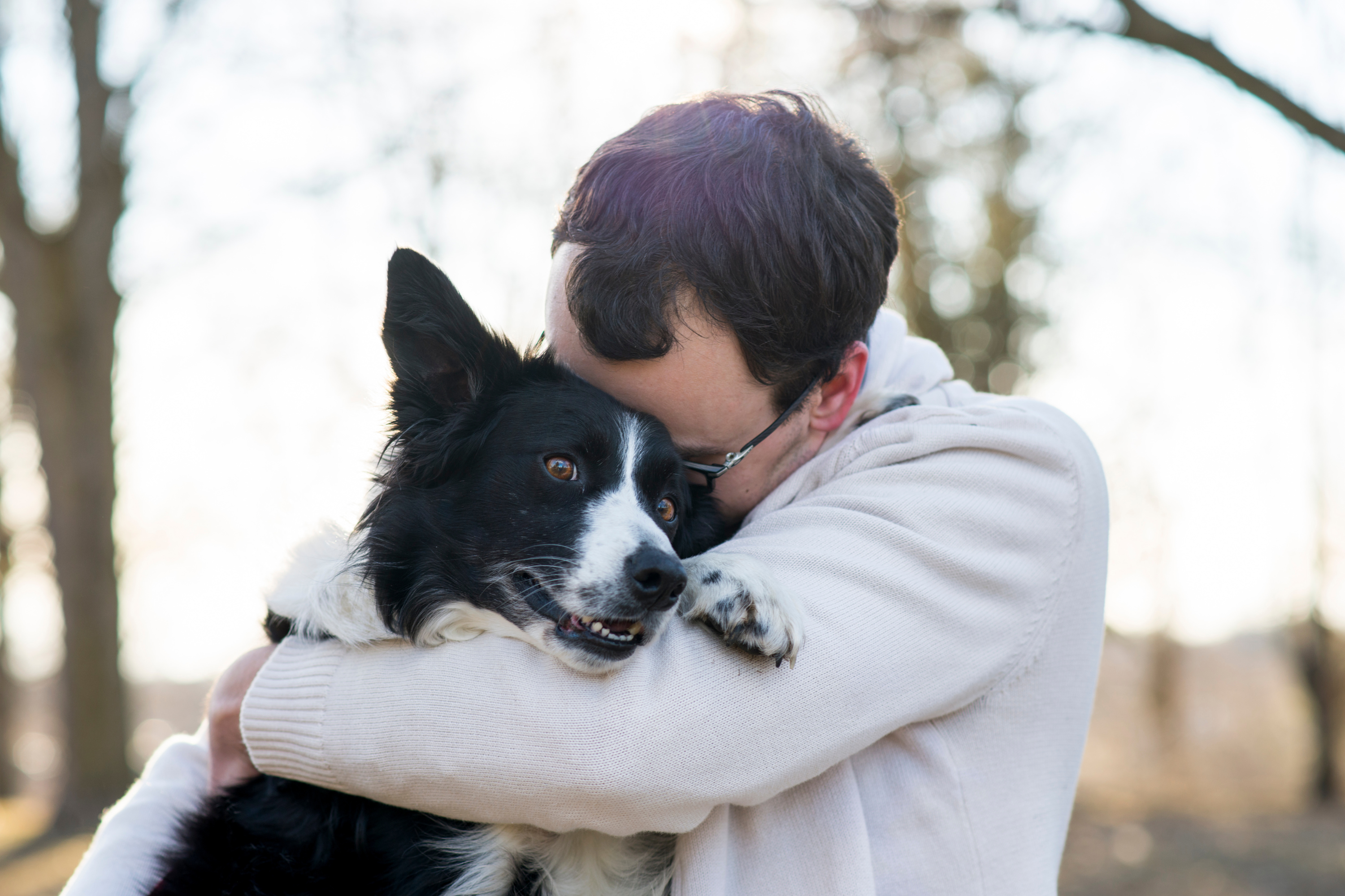 Per quanto tempo un cane ricorda una persona? La scienza della memoria canina