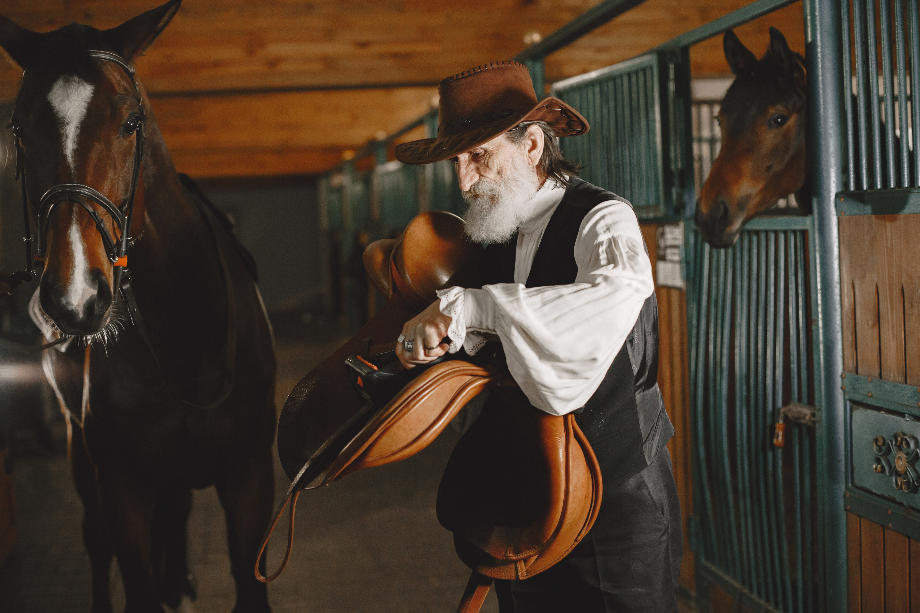 Perché fare equitazione: 5 motivi che cambieranno il tuo rapporto con il cavallo