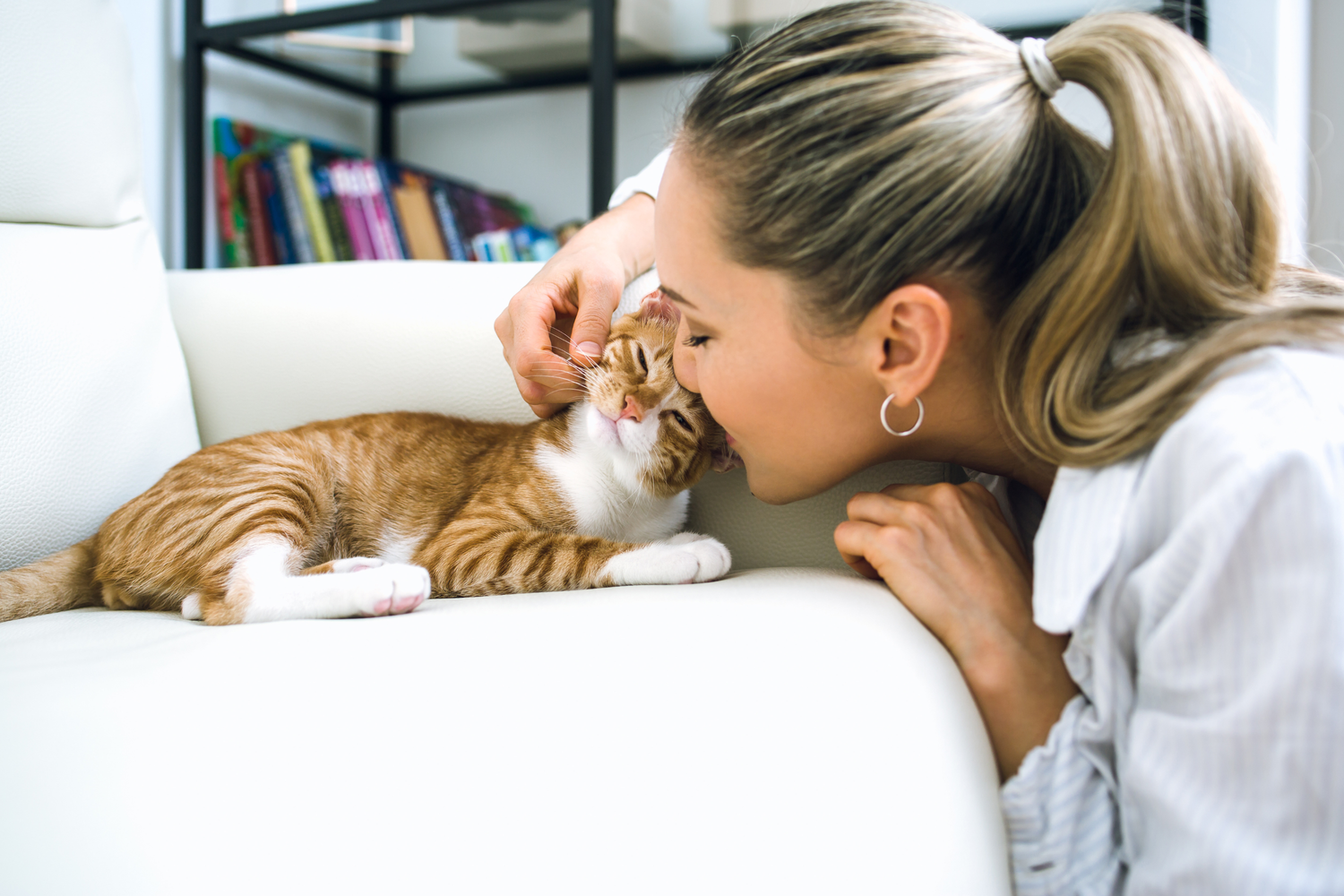 Perché il tuo gatto ti segue sempre in bagno? La risposta degli esperti
