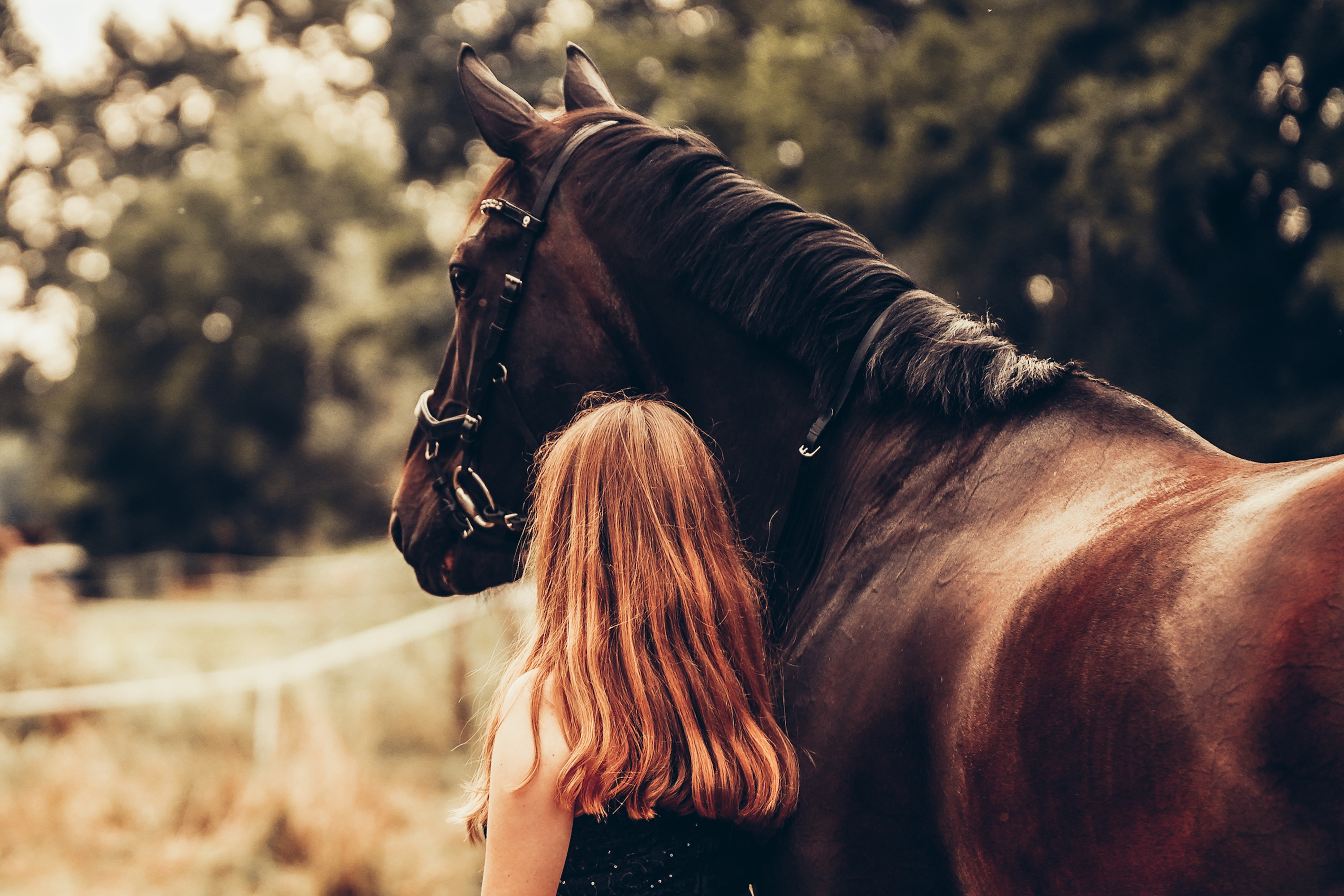 Premio sì, premio no: un equilibrio delicato nell'educazione del tuo cavallo