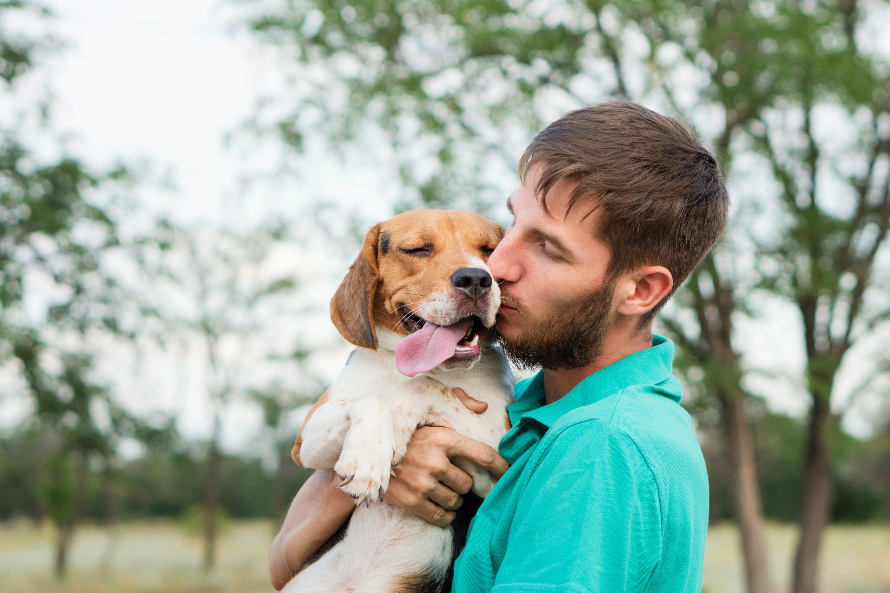 Si può dare l'arancia al cane? Si o no?