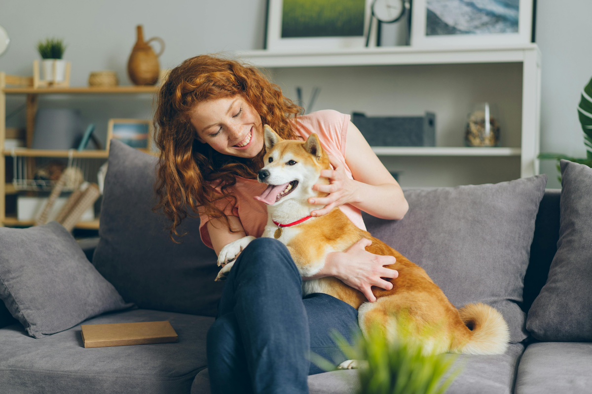 Un cane sa quando siamo stressati? Cosa dice la scienza sul legame emotivo tra cane e proprietario