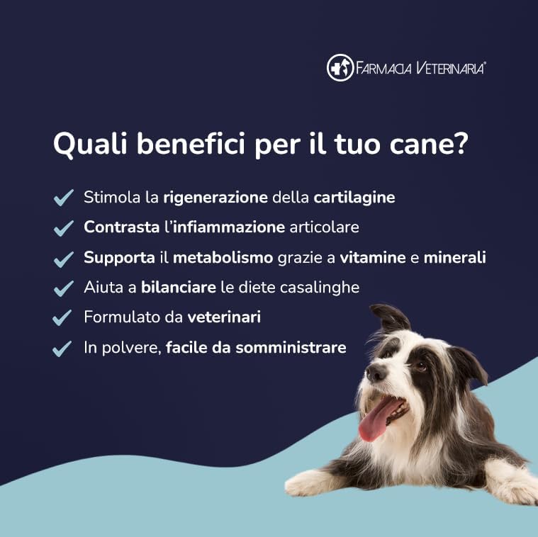 Artiflex: L'Integratore N°1 per le Articolazioni del Cane - Stop ad Artrosi e Dolori