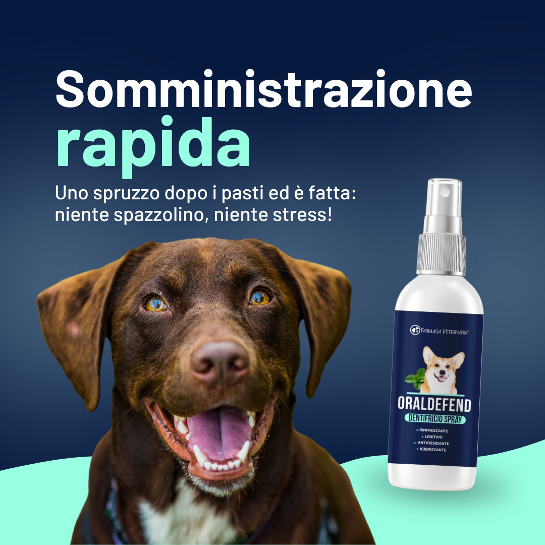 Oraldefend Dentifricio Spray: Igiene Orale Quotidiana per Cani – Alito Fresco e Protezione Naturale