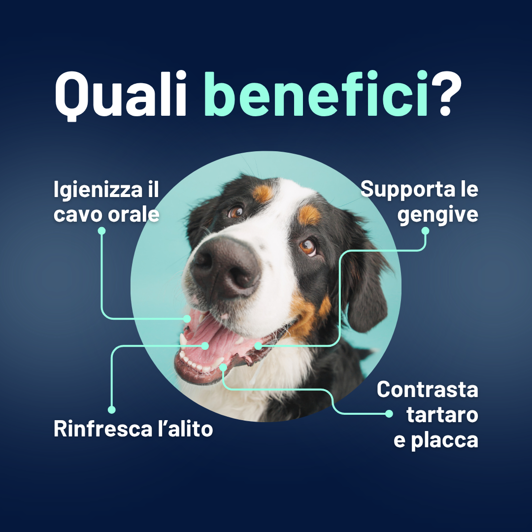 Oraldefend Dentifricio Spray: Igiene Orale Quotidiana per Cani – Alito Fresco e Protezione Naturale
