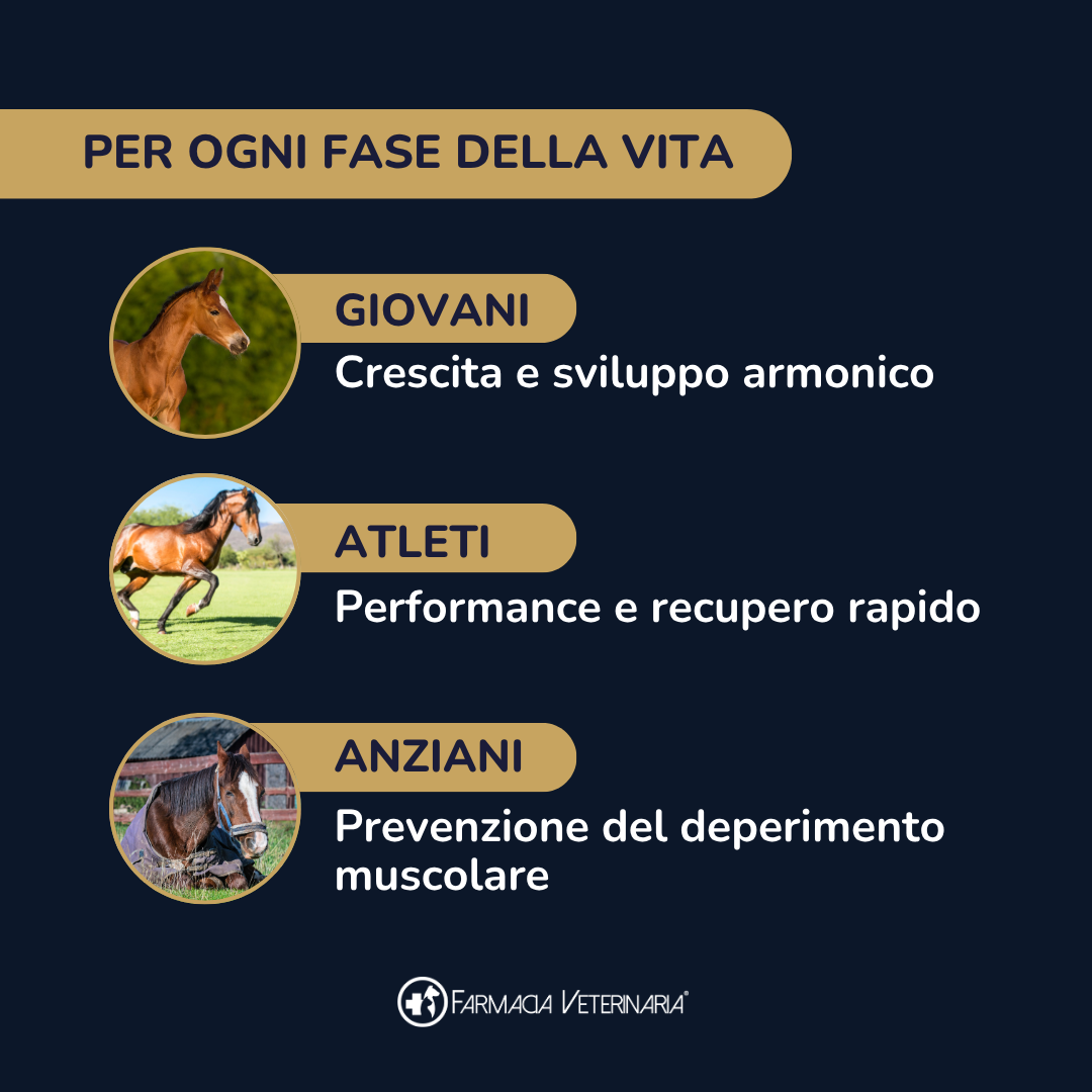 Equiforza Total: Più Muscolo e Recupero Rapido per il Cavallo Sportivo - con Amminoacidi e Gamma Orizanolo
