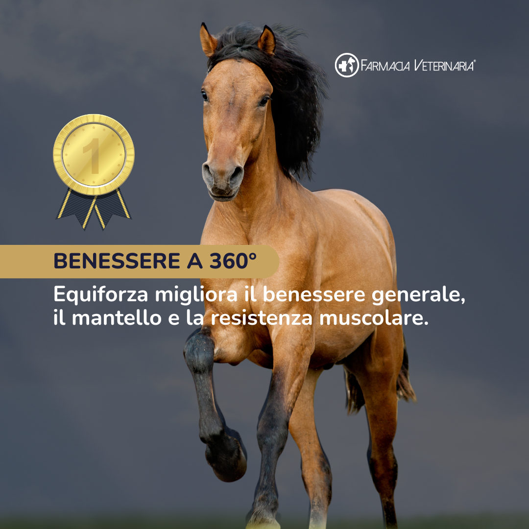 Equiforza Total: Più Muscolo e Recupero Rapido per il Cavallo Sportivo - con Amminoacidi e Gamma Orizanolo