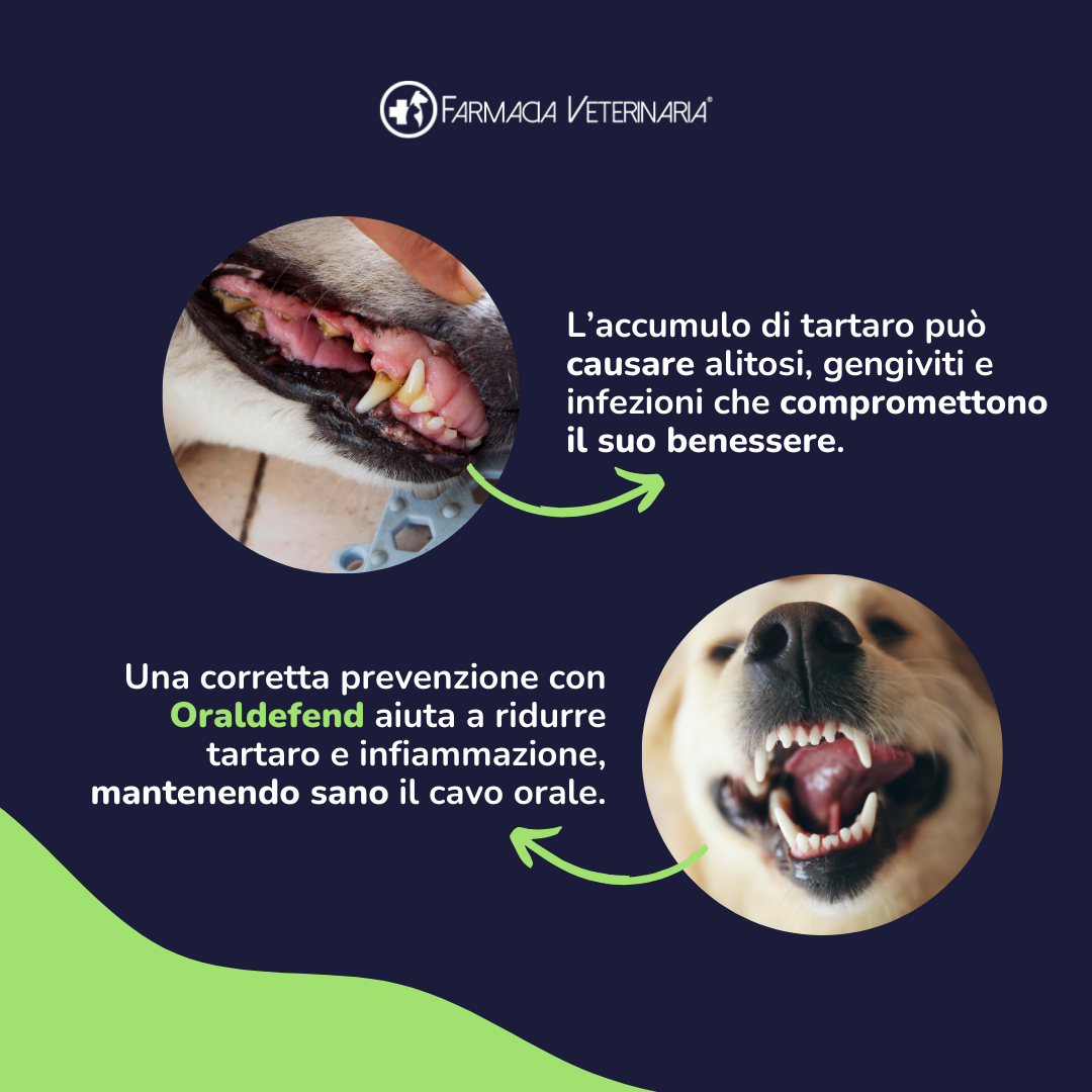Oraldefend: Denti Puliti e Alito Fresco Senza Spazzolino - Basta un Cucchiaino nel Cibo
