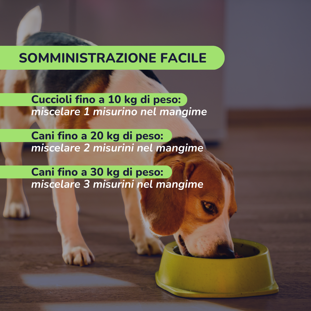 Oraldefend: Denti Puliti e Alito Fresco Senza Spazzolino - Basta un Cucchiaino nel Cibo
