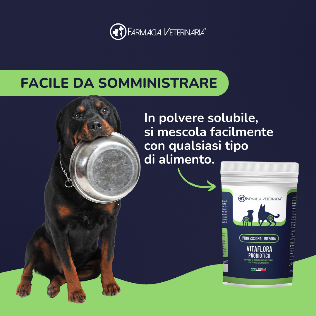 VITAFLORA: L'Integratore Probiotico per il Benessere Intestinale del Cane