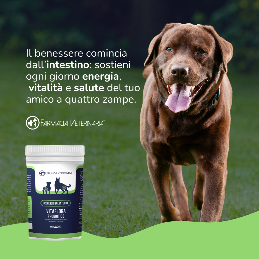 VITAFLORA: L'Integratore Probiotico per il Benessere Intestinale del Cane