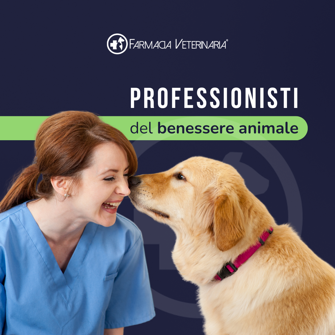 VITAFLORA: L'Integratore Probiotico per il Benessere Intestinale del Cane