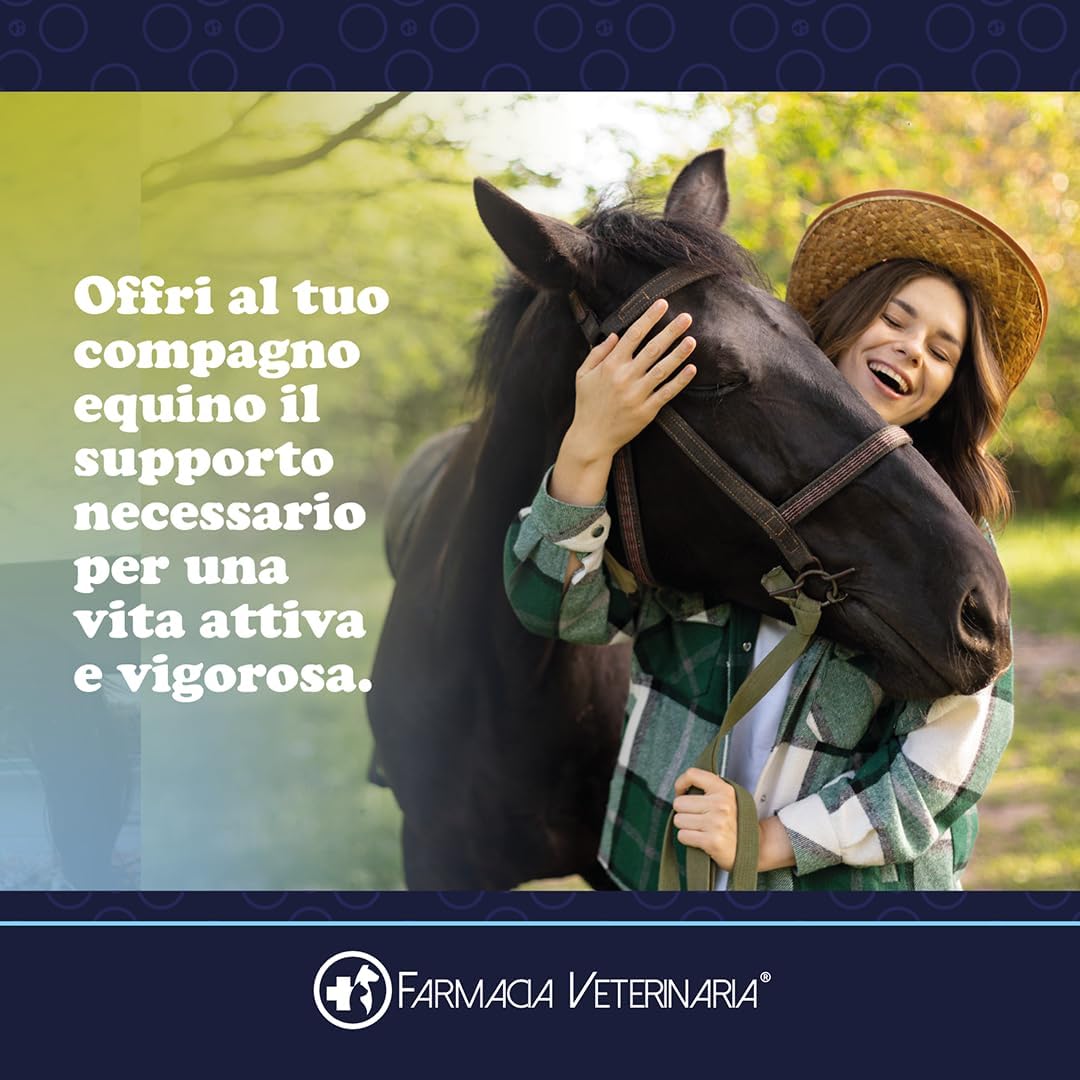 Active Horse: Probiotici e Vitamine per Proteggere il Tuo Cavallo da Coliche e Cali di Forma