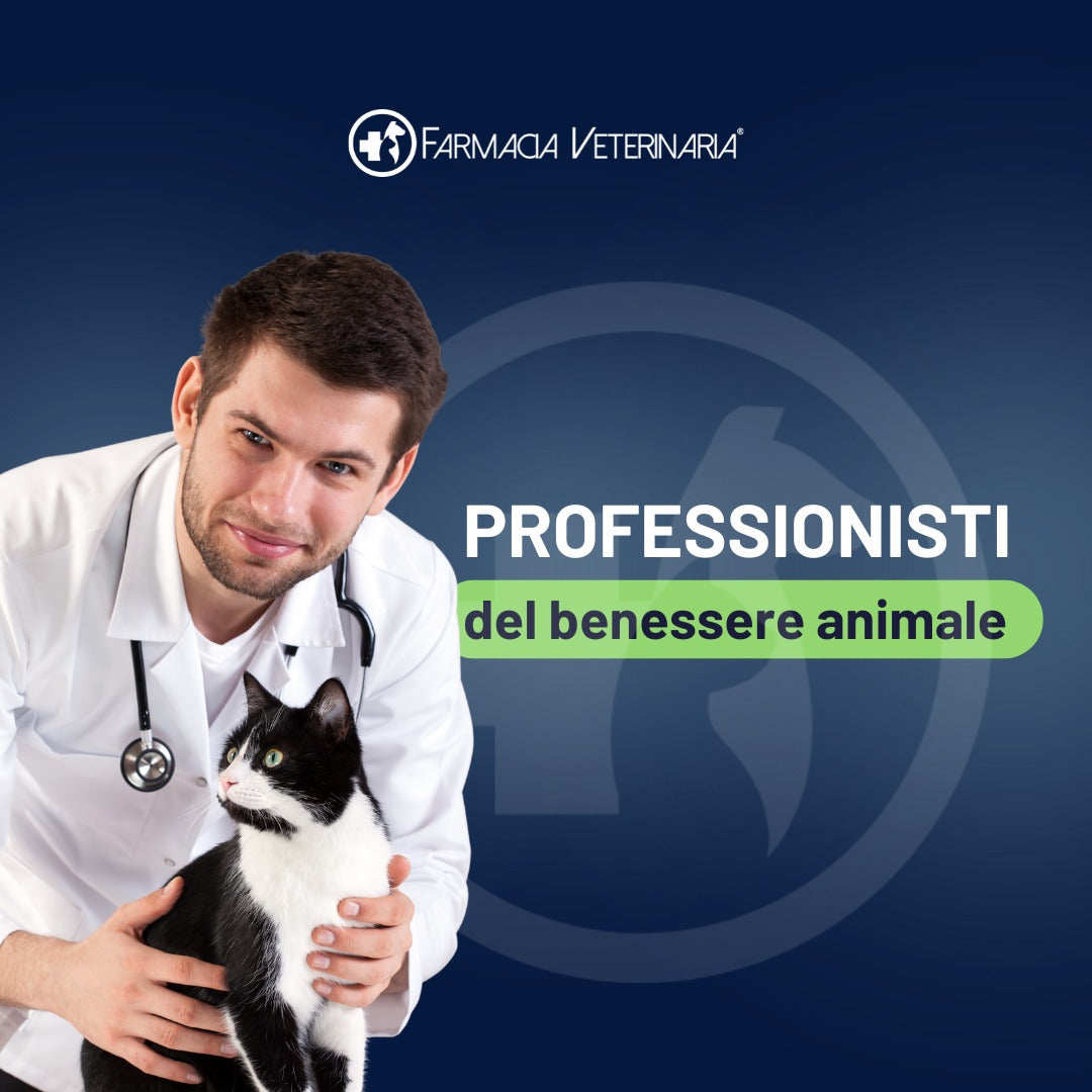 Vitaflora Cat: Probiotico e Prebiotico in Polvere per Gatti - Integratore Altamente Appetibile contro Carenze e Stress