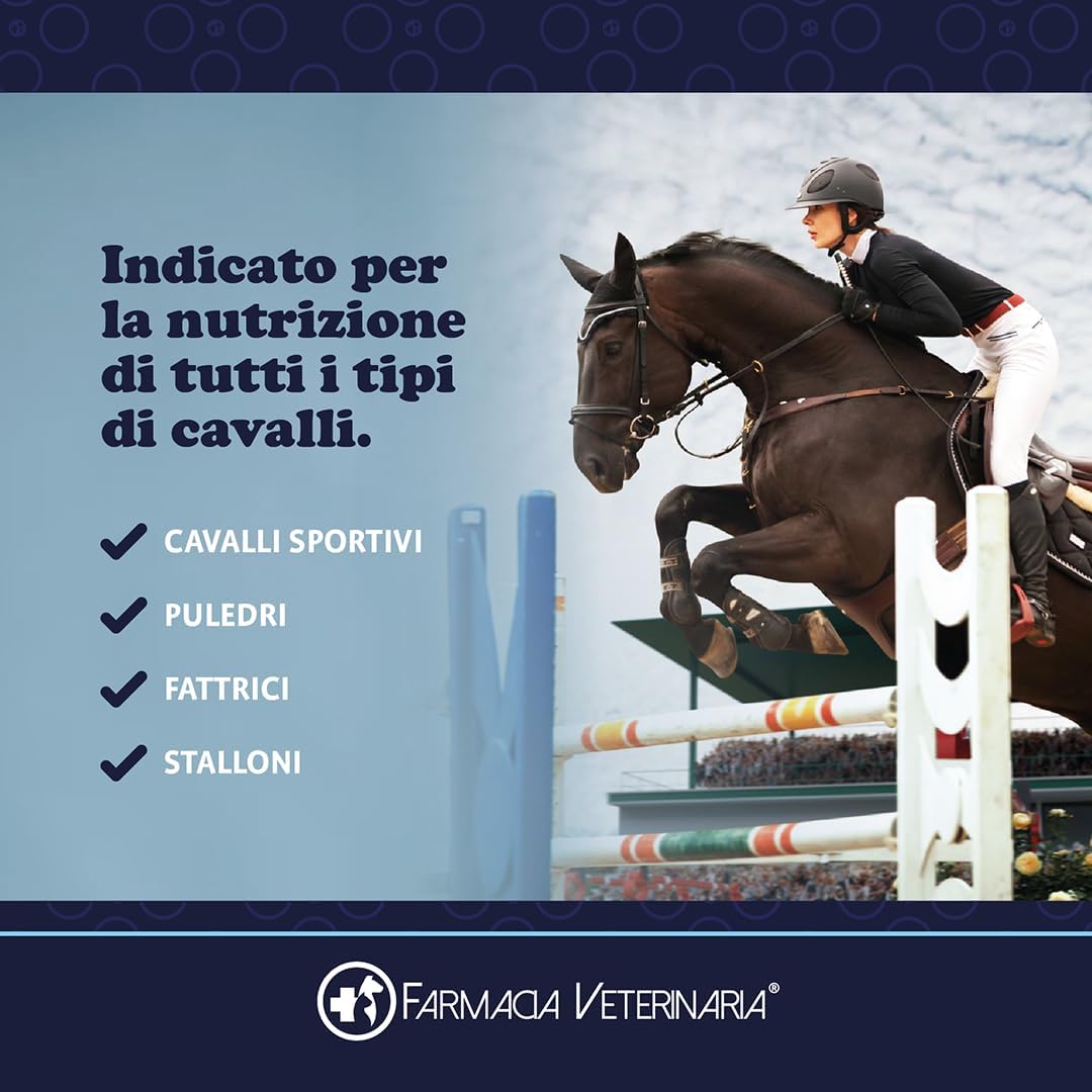 Active Horse: Probiotici e Vitamine per Proteggere il Tuo Cavallo da Coliche e Cali di Forma