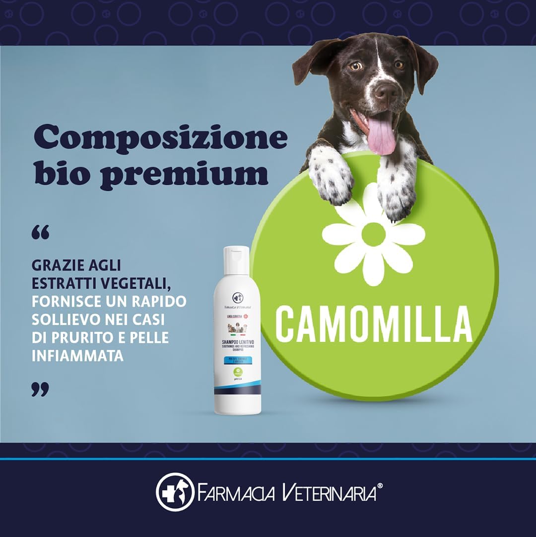 Shampoo Lenitivo per Cani: Sollievo dal Prurito già dal Primo Lavaggio