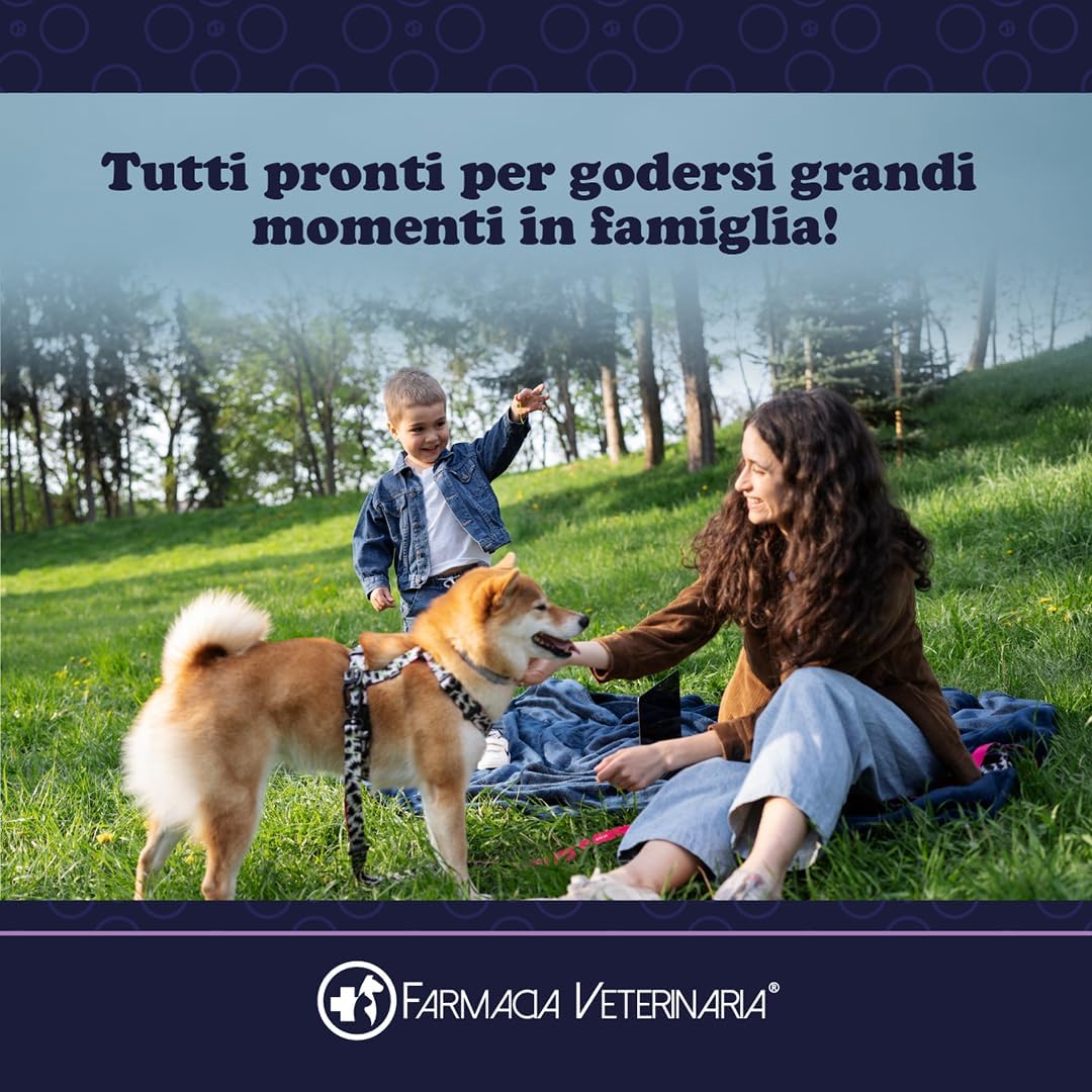 Shampoo Spray a Secco per Cani: Pulito e Profumato in 5 Minuti, Senza Bagno e Senza Acqua