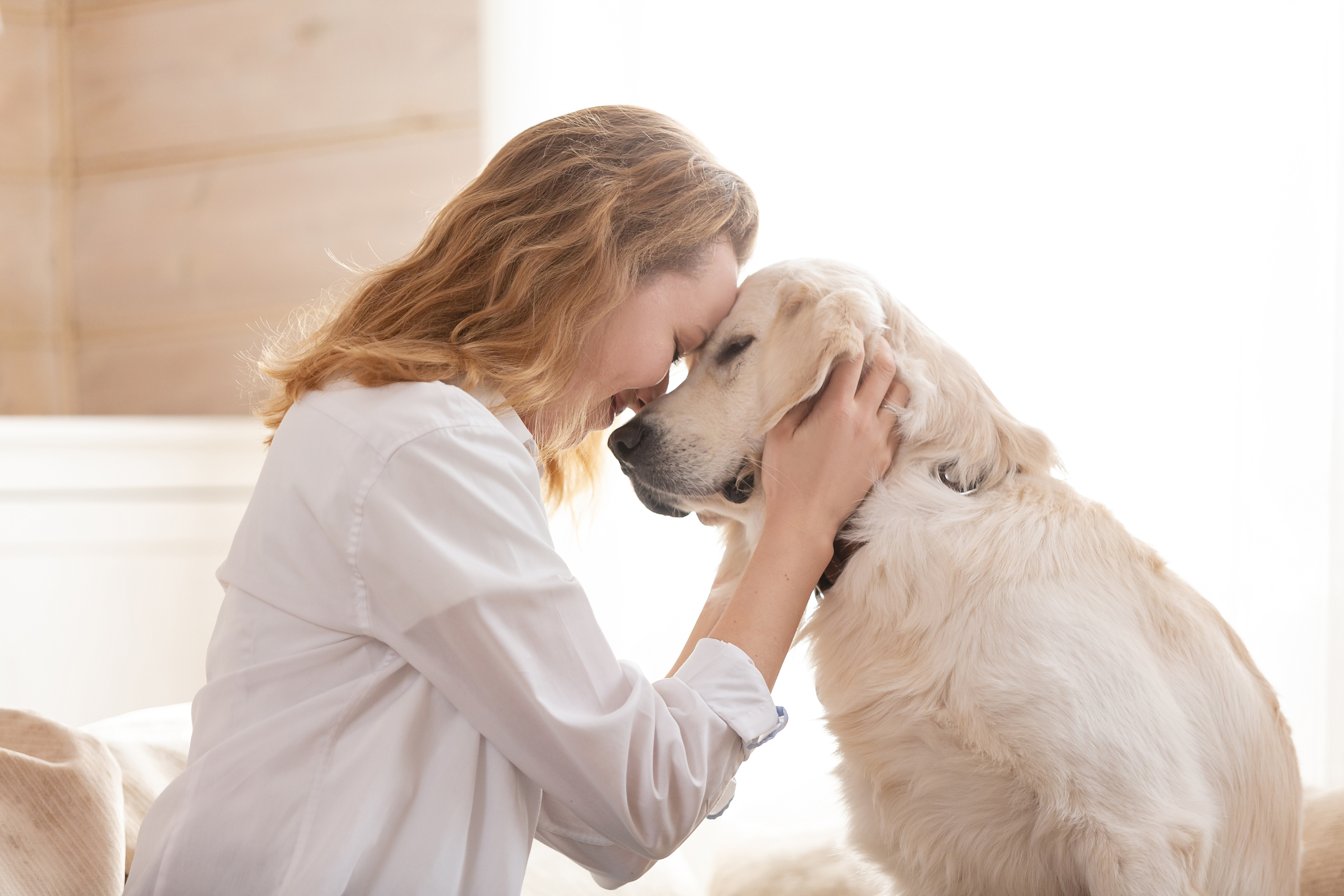 5 Segnali che il Tuo Cane Ti Sta Difendendo