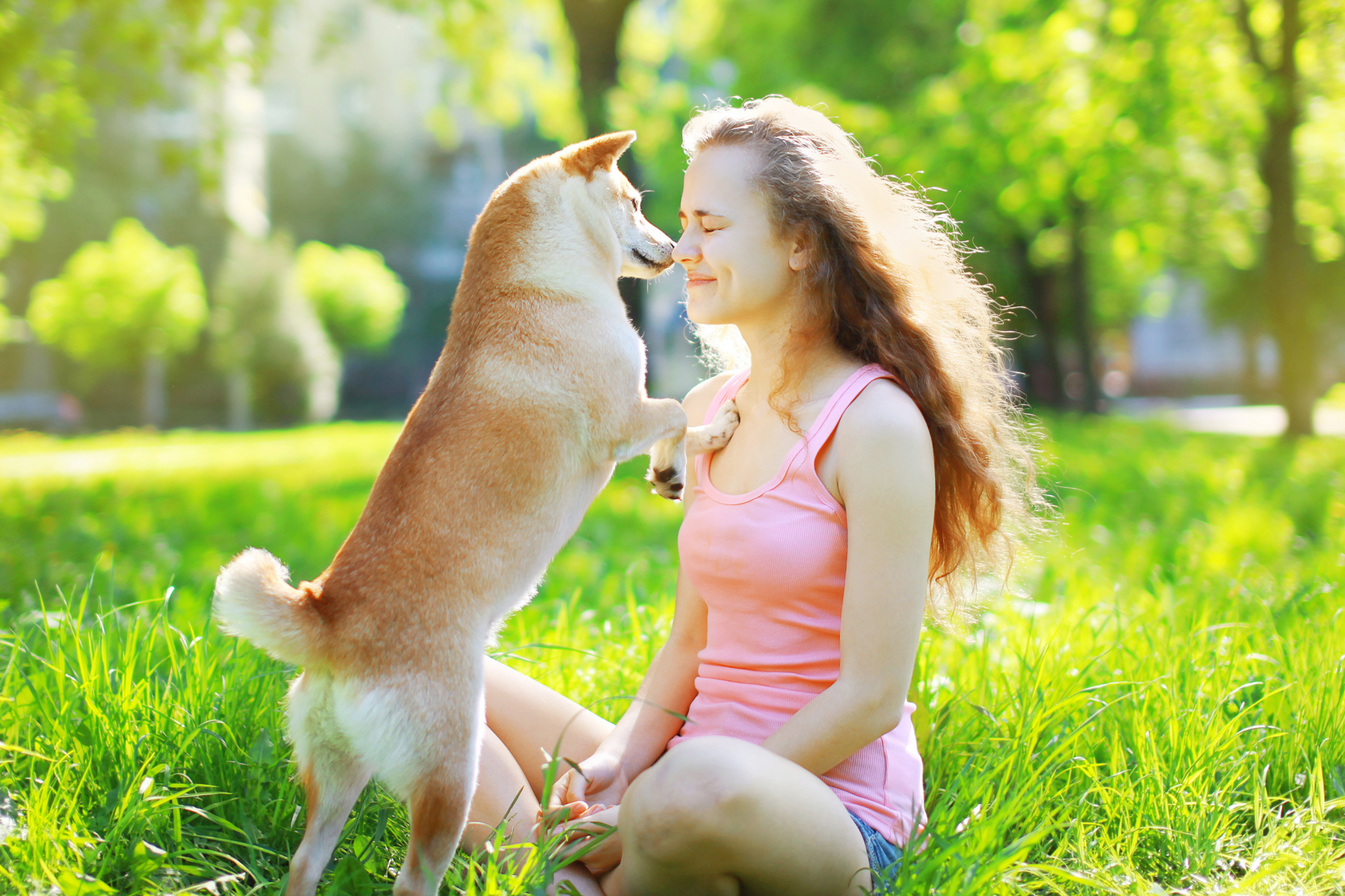 5 Segnali che il Tuo Cane Ti Sta Difendendo