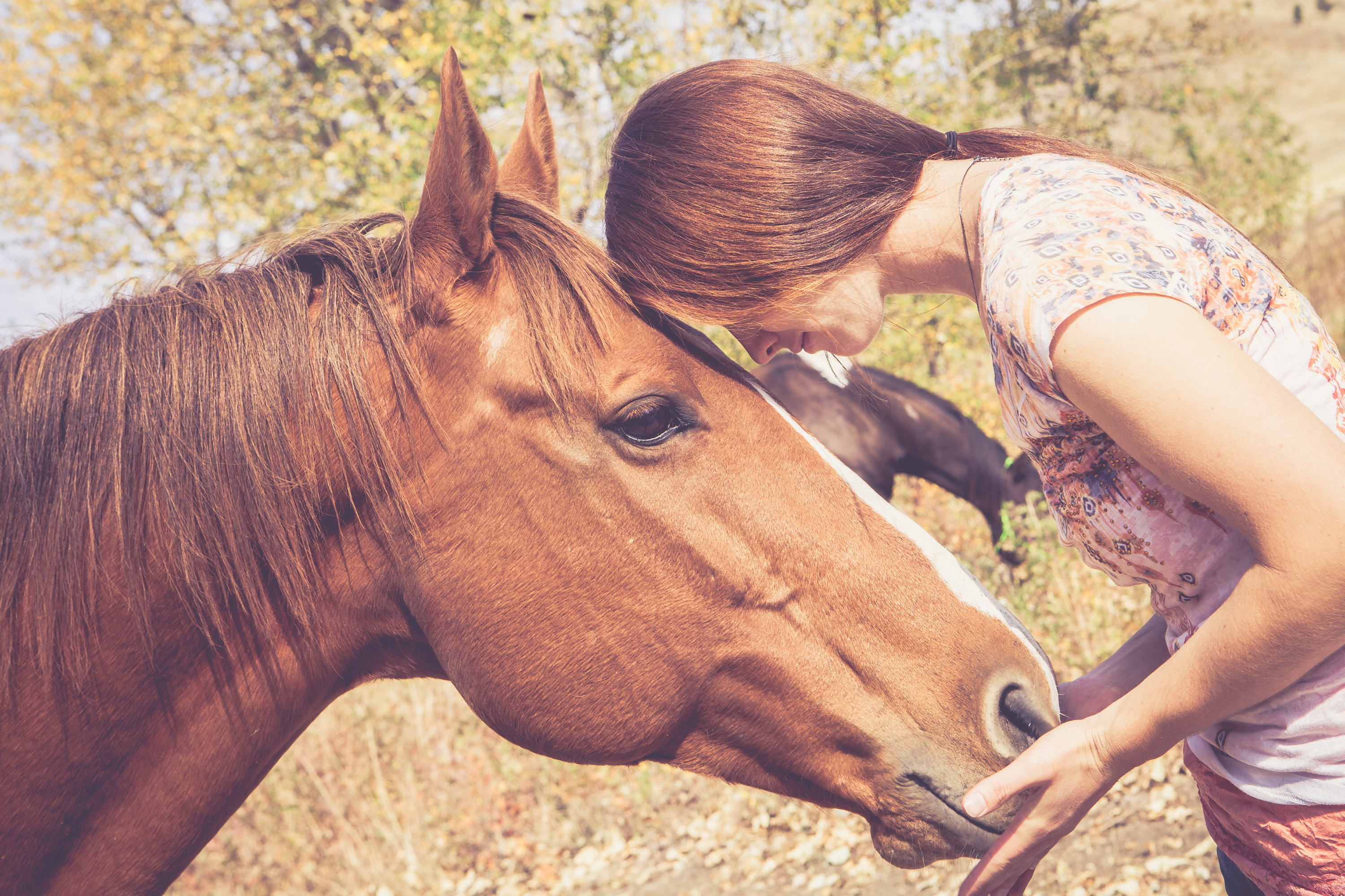 Balneoterapia equina: ll benessere del tuo cavallo attraverso l'acqua