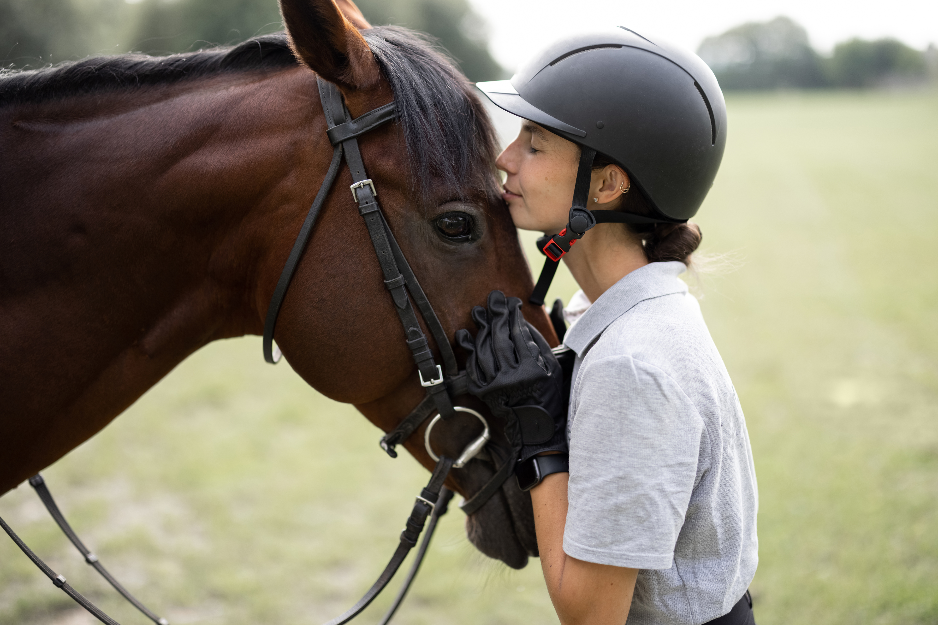 Come creare fiducia con il tuo cavallo