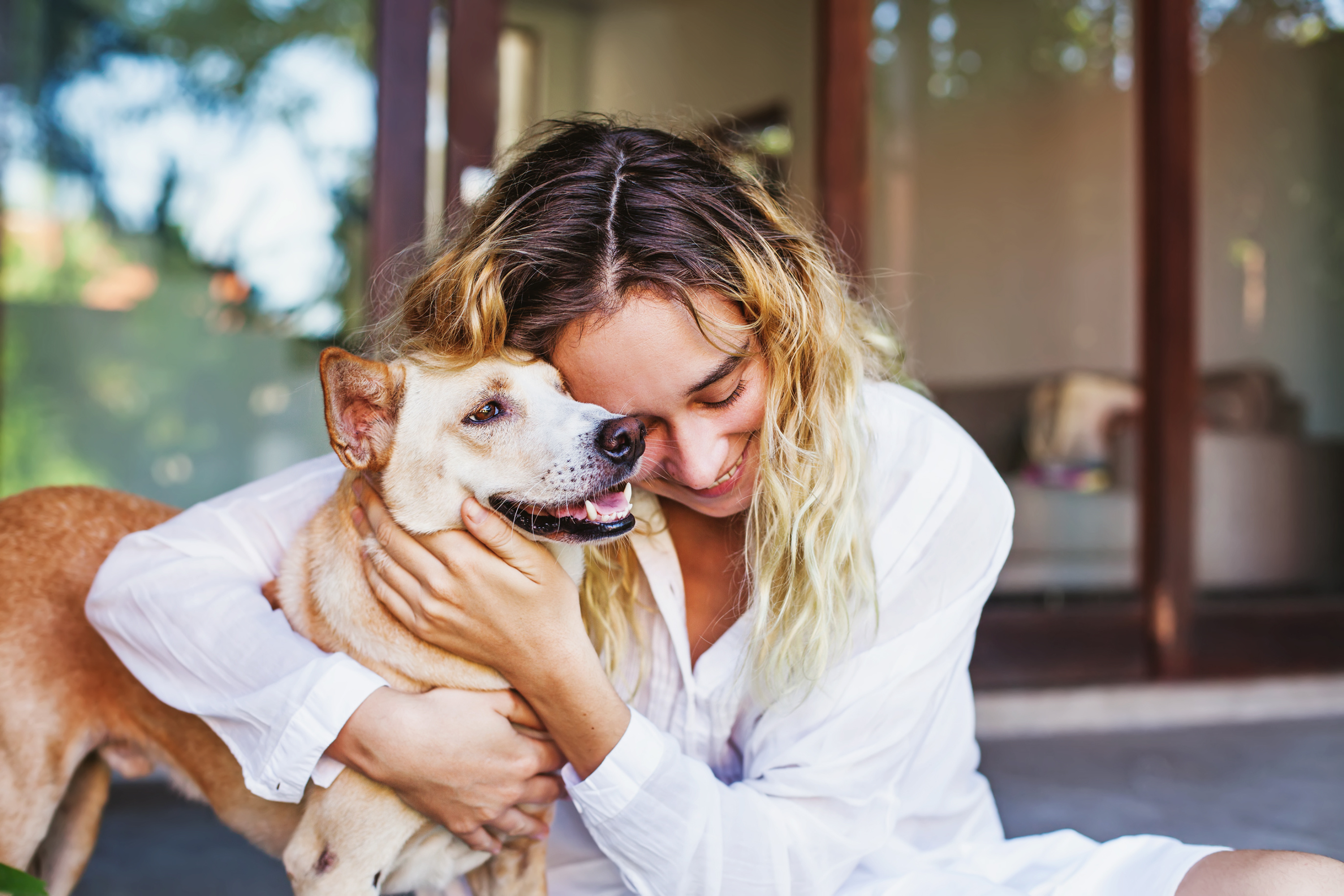 Come Far Sentire il Tuo Cane Amato:10 Modi Essenziali