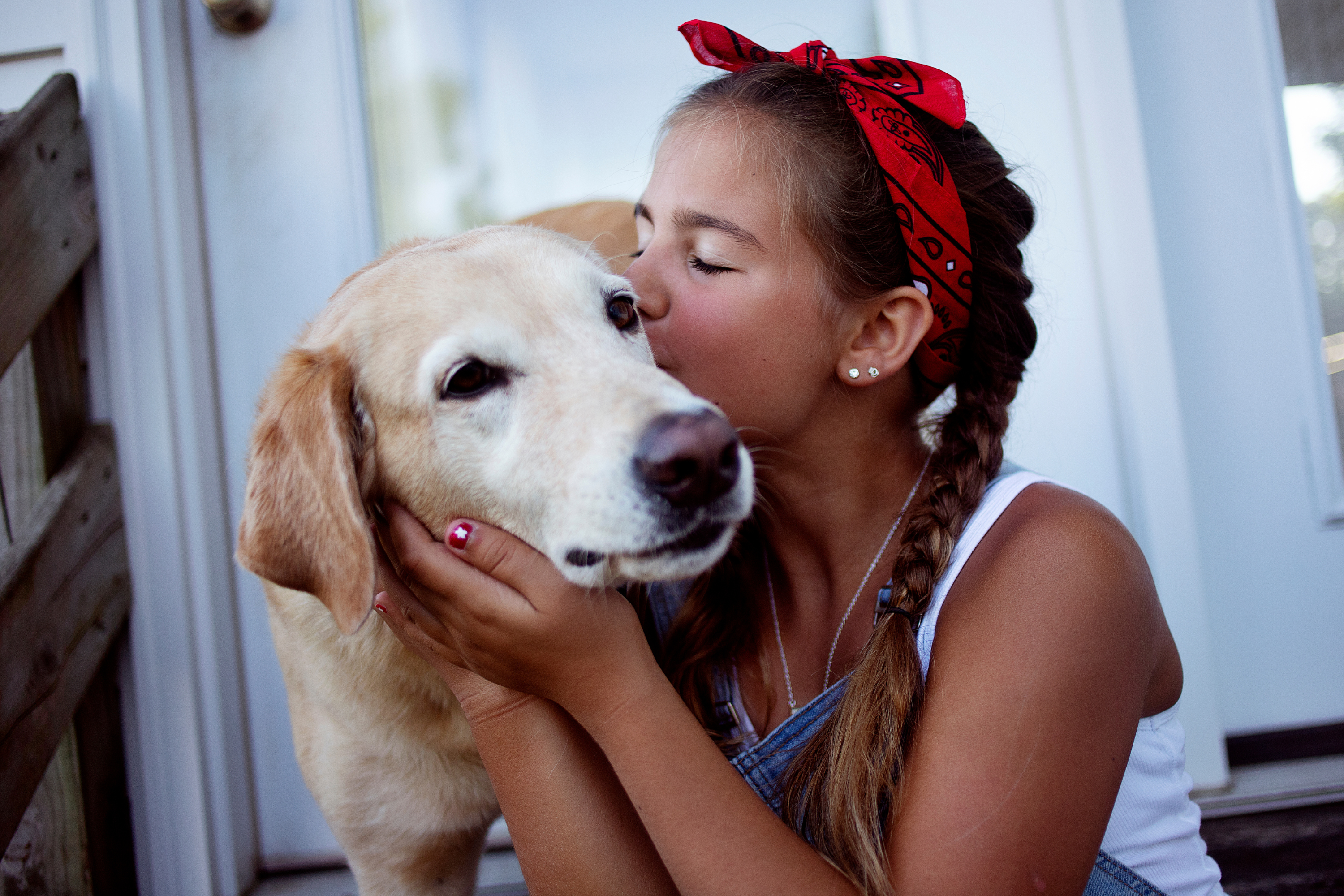 Cosa Pensano di Noi Umani i Cani?