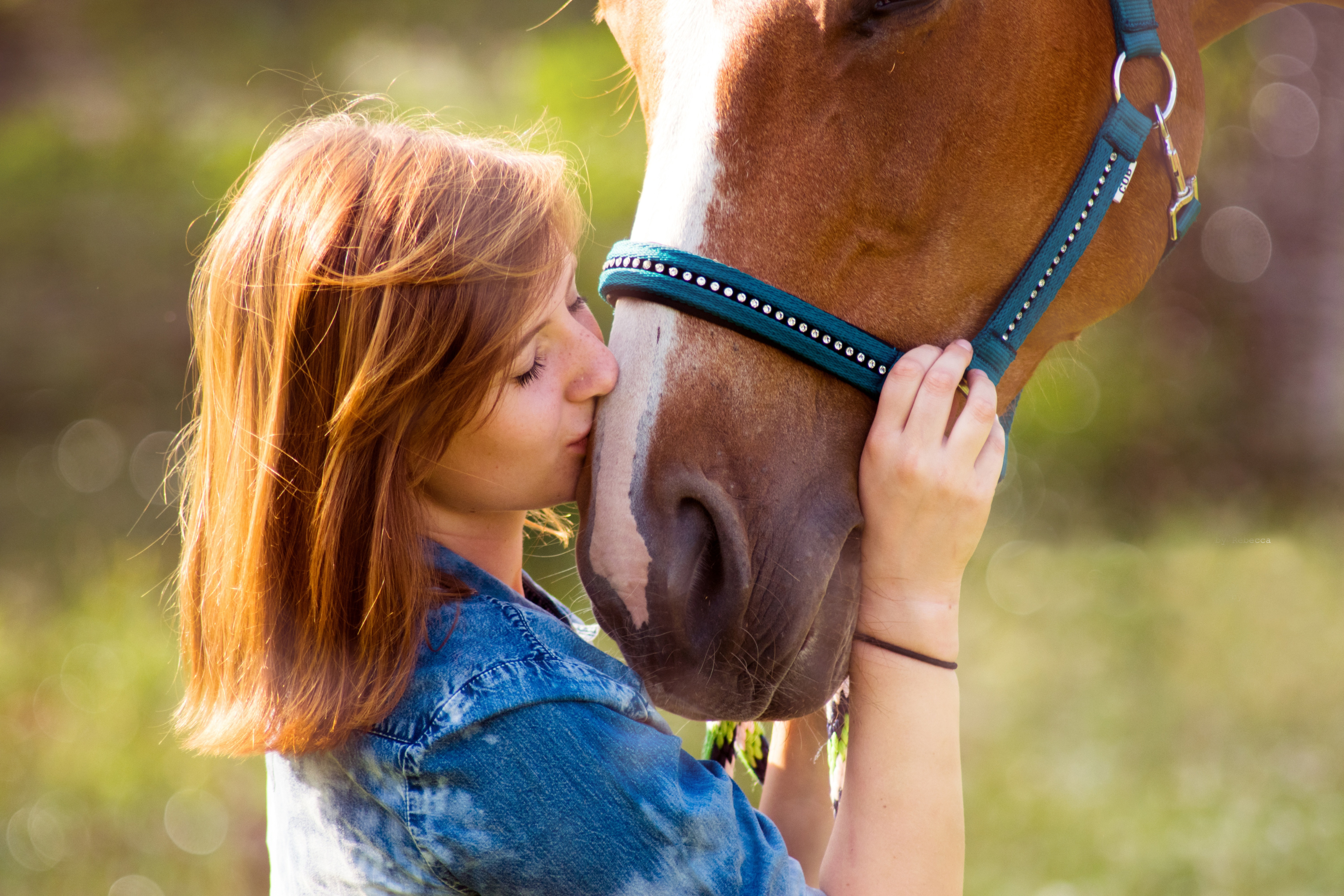 Dermatite Estiva Cavallo: Cause, Sintomi e Trattamenti Efficaci