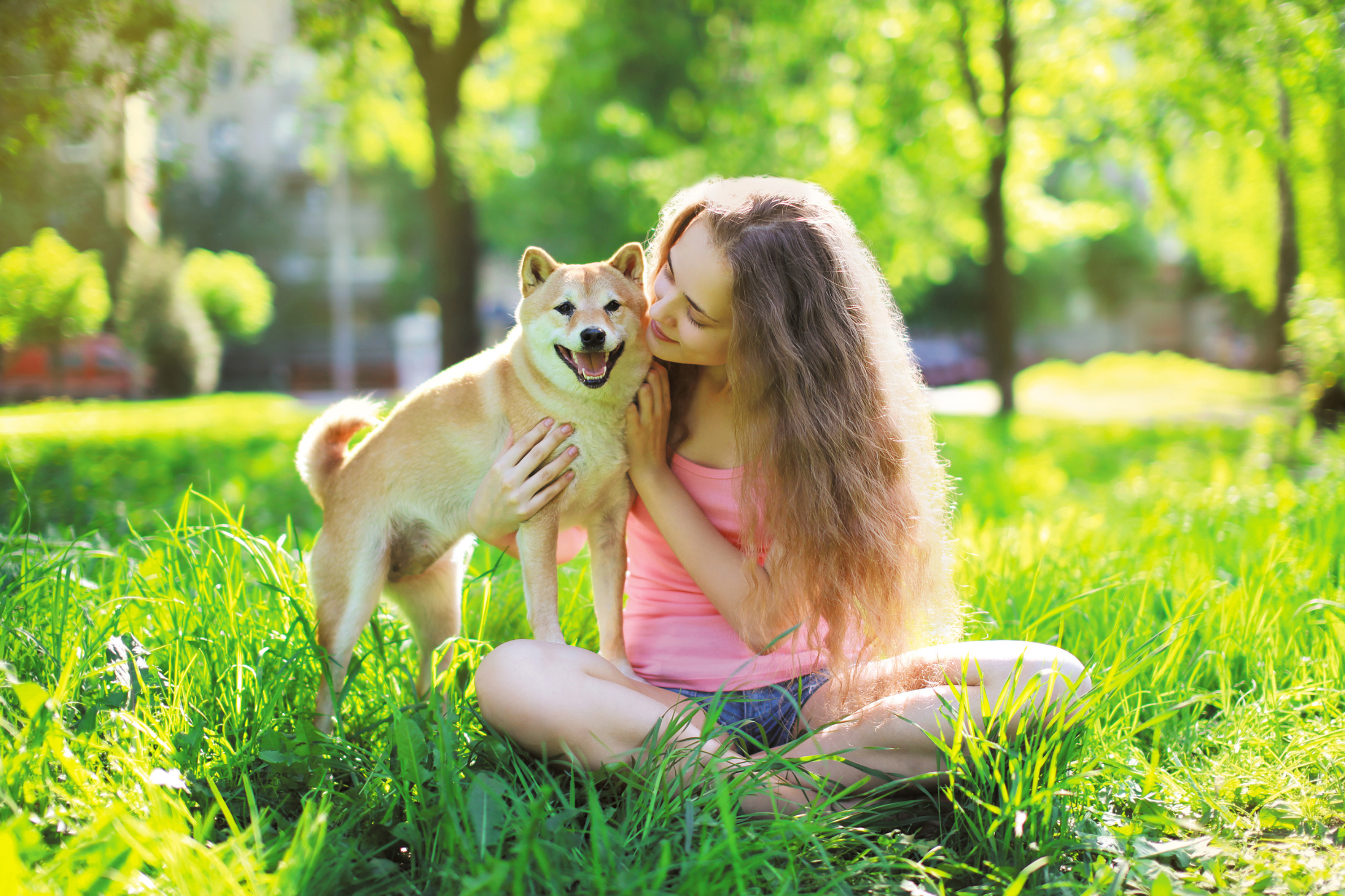 Frutta estiva e cani: la verità sulle albicocche che nessuno ti dice