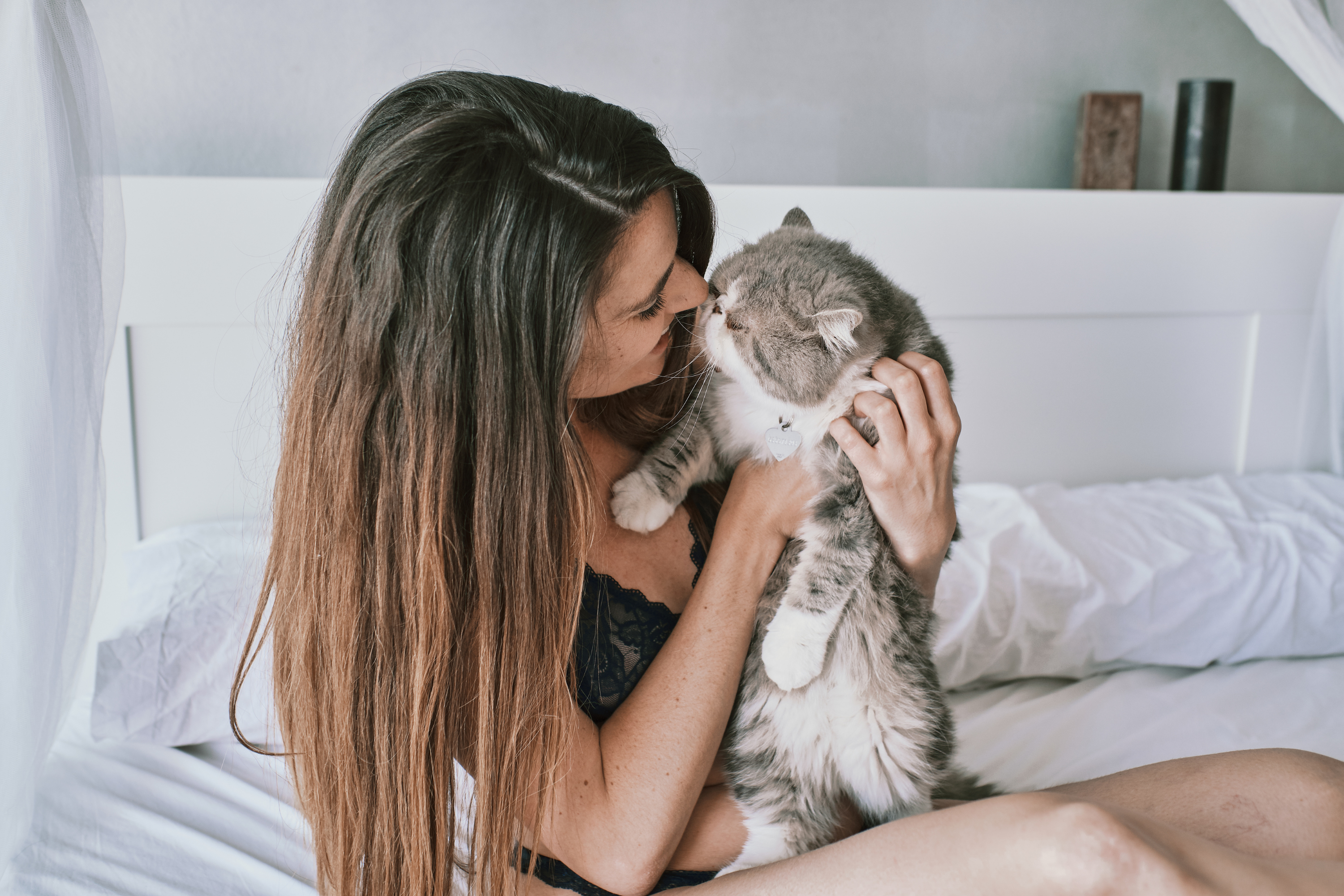 Gatto Improvvisamente Affettuoso? Scopri il Segreto Dietro le Sue Coccole Mattutine