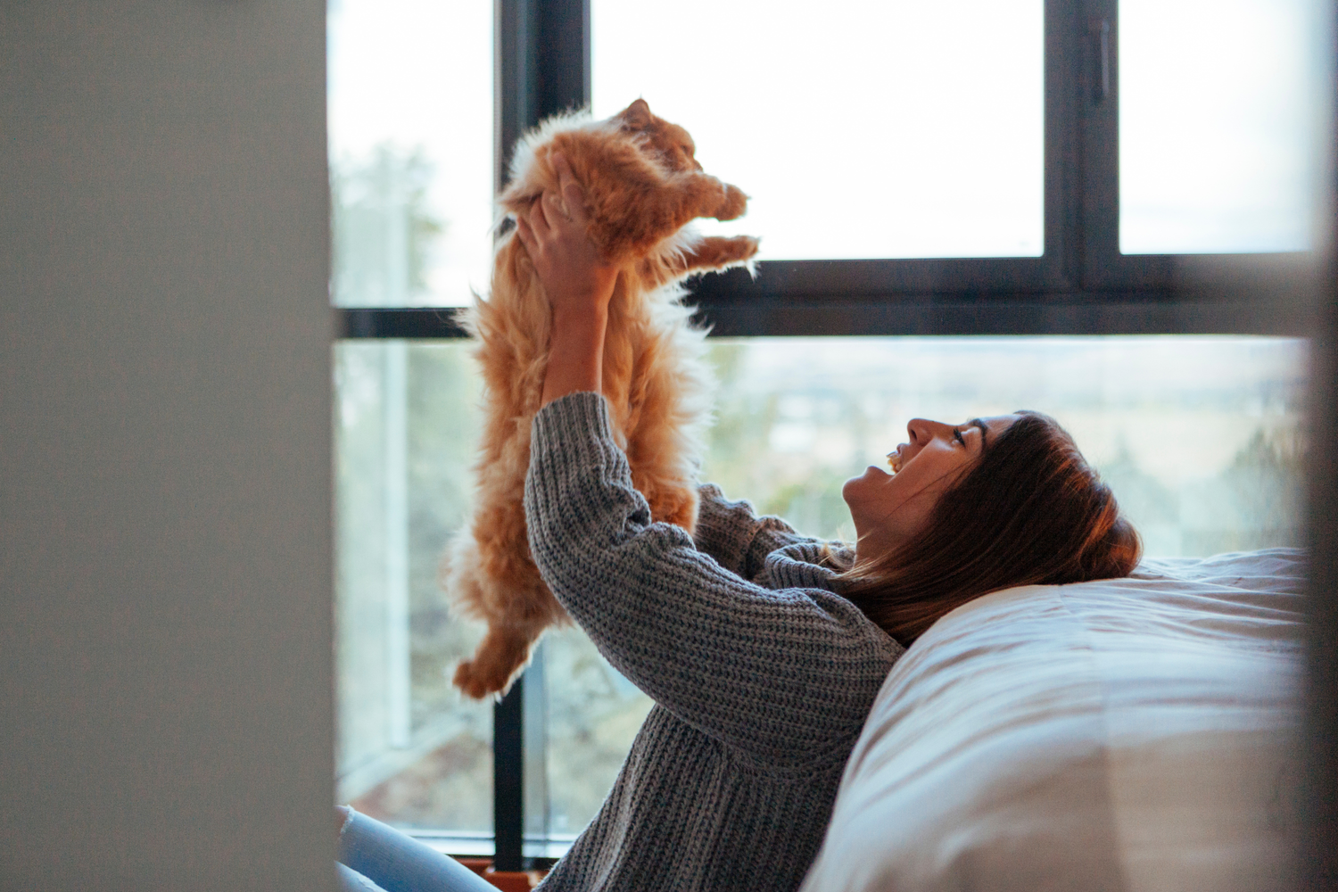 Il gatto ti sceglie: ecco come riconoscere i segnali di affetto felino