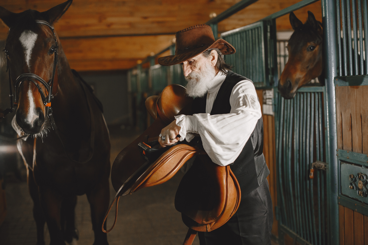 Perché fare equitazione: 5 motivi che cambieranno il tuo rapporto con il cavallo