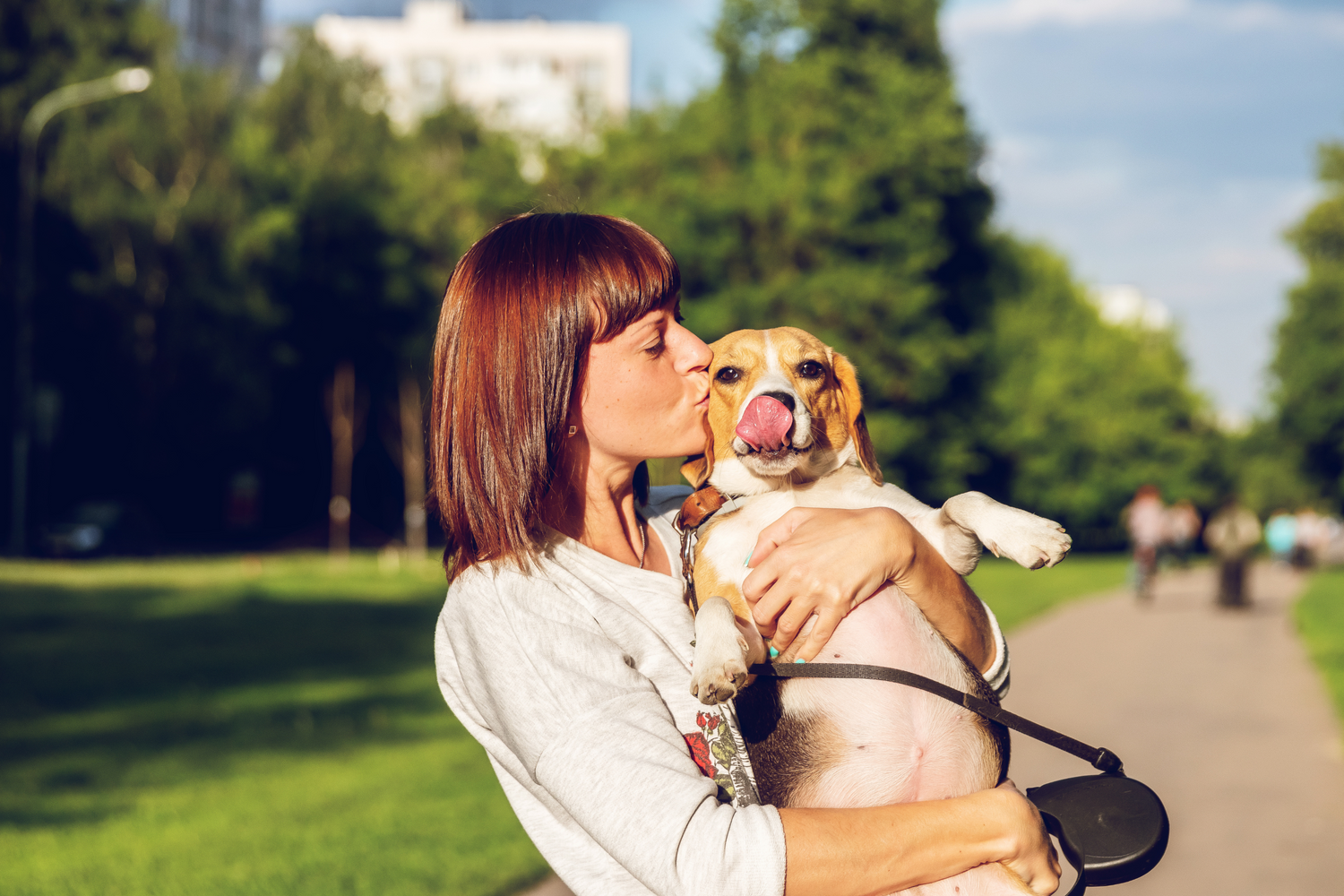 Perché l'Uva è Tossica per i Cani? Tutto Quello che Ogni Proprietario Deve Sapere