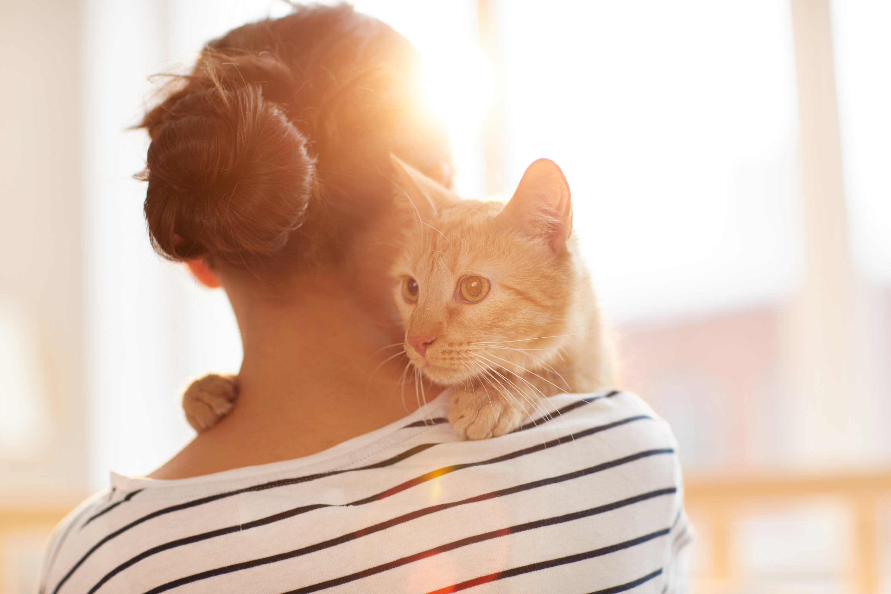 Polpastrelli Gatto: Cura e Protezione per le Zampette del Tuo Felino
