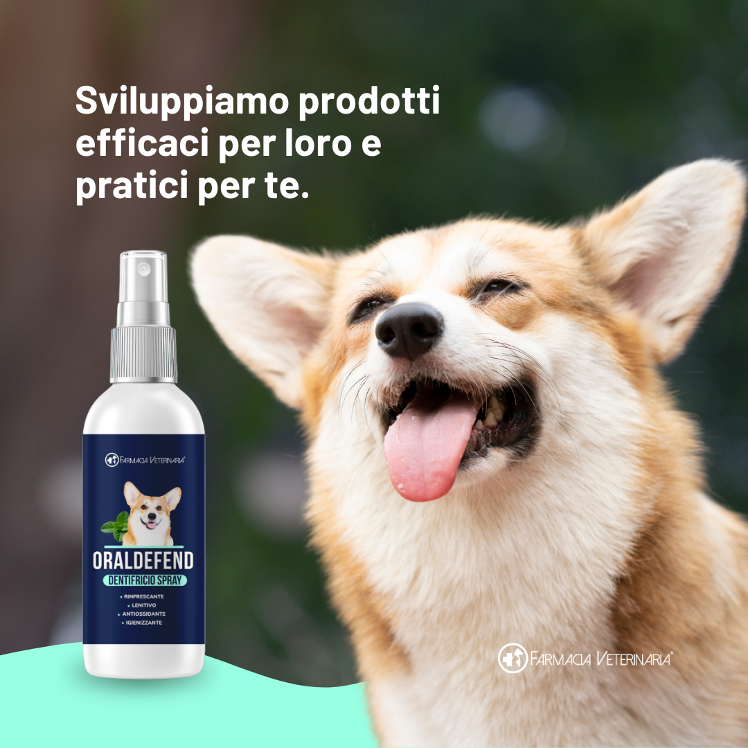 Oraldefend Dentifricio Spray: Igiene Orale Quotidiana per Cani – Alito Fresco e Protezione Naturale