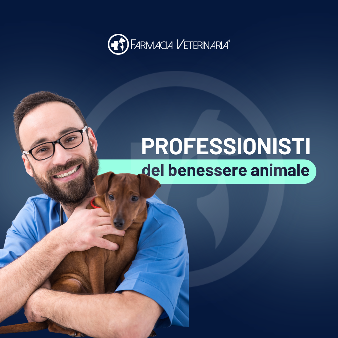 Oraldefend Dentifricio Spray: Igiene Orale Quotidiana per Cani – Alito Fresco e Protezione Naturale