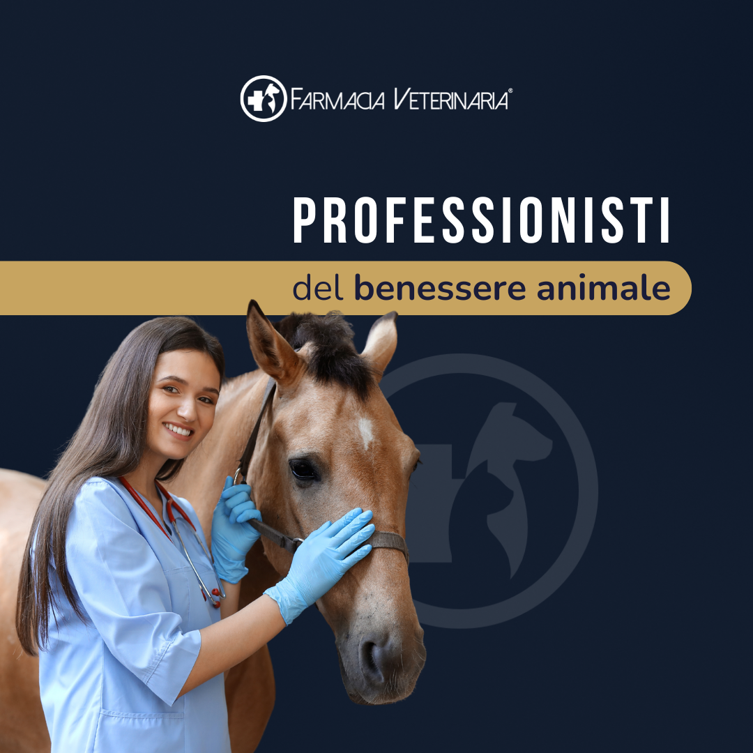 Equiforza Total: Più Muscolo e Recupero Rapido per il Cavallo Sportivo - con Amminoacidi e Gamma Orizanolo