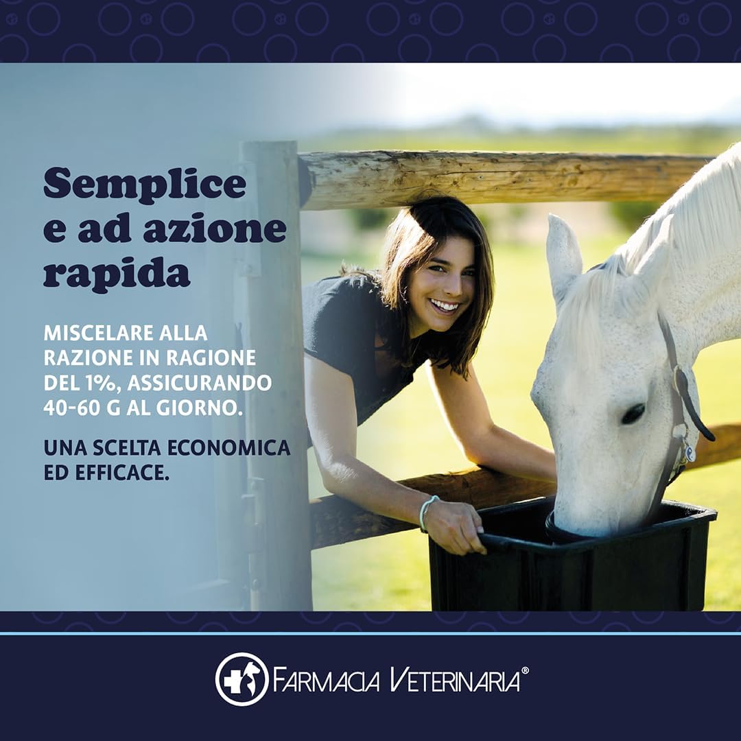 Active Horse: Probiotici e Vitamine per Proteggere il Tuo Cavallo da Coliche e Cali di Forma