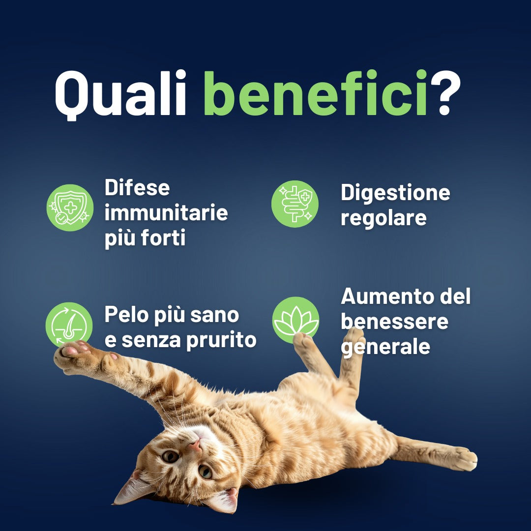 Vitaflora Cat: Probiotico e Prebiotico in Polvere per Gatti - Integratore Altamente Appetibile contro Carenze e Stress