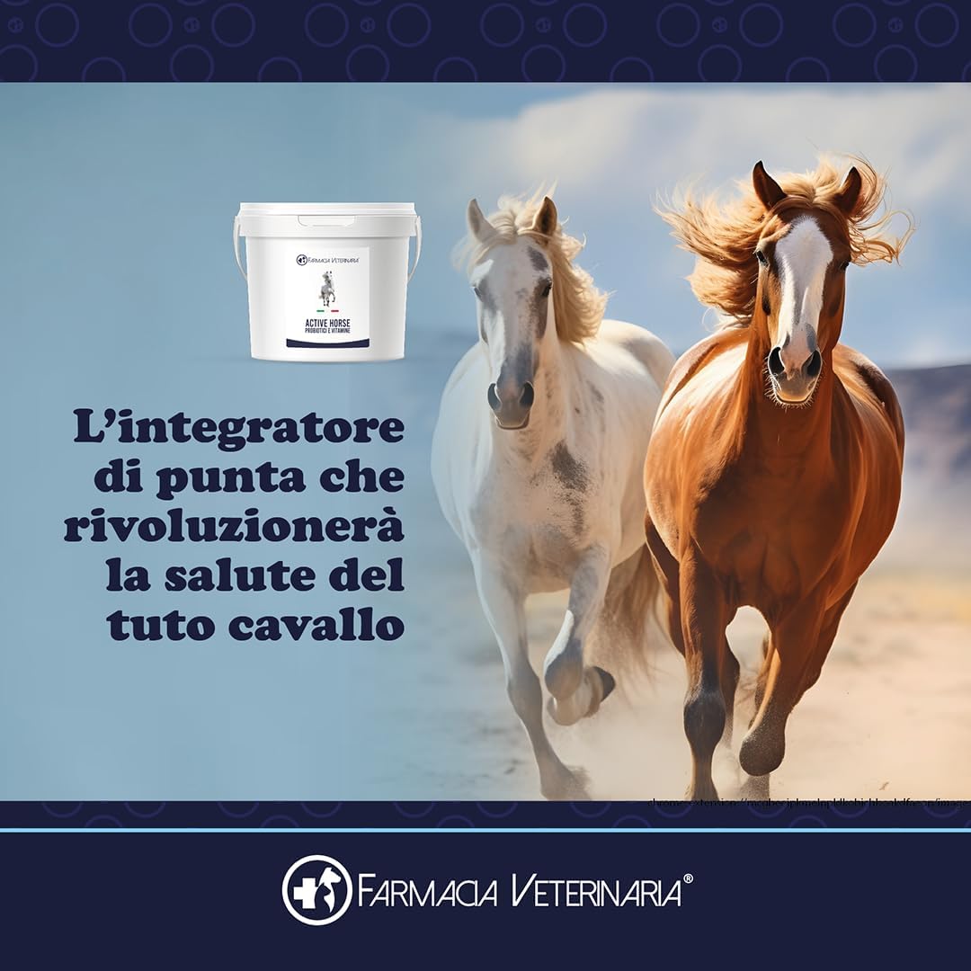 Active Horse: Probiotici e Vitamine per Proteggere il Tuo Cavallo da Coliche e Cali di Forma
