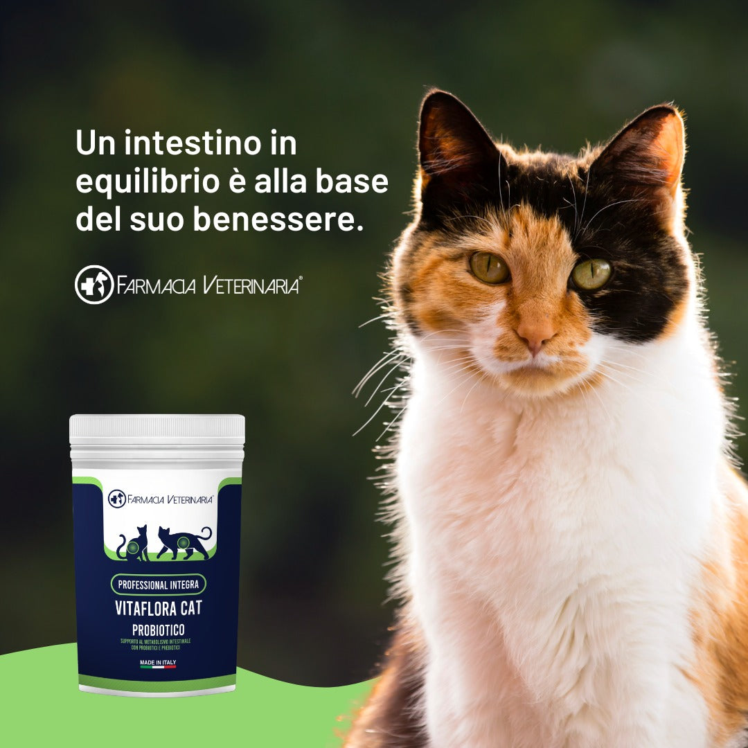 Vitaflora Cat: Probiotico e Prebiotico in Polvere per Gatti - Integratore Altamente Appetibile contro Carenze e Stress