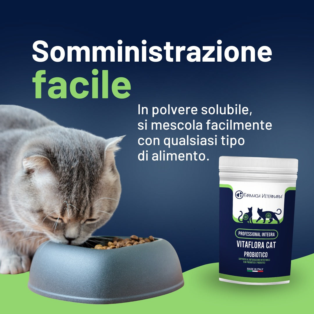 Vitaflora Cat: Probiotico e Prebiotico in Polvere per Gatti - Integratore Altamente Appetibile contro Carenze e Stress